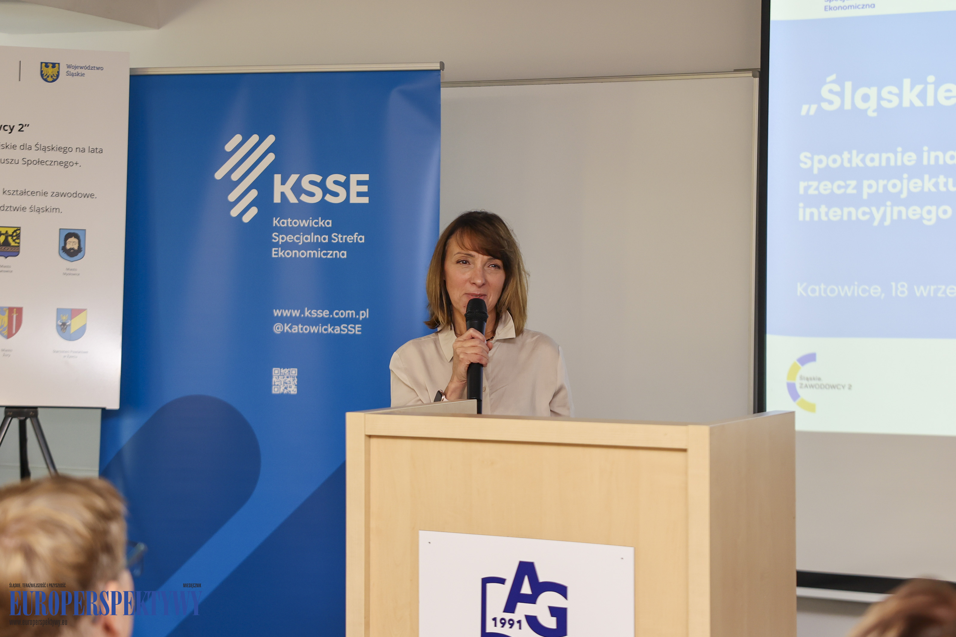 Europerspektywy "Śląskie. Zawodowcy 2"