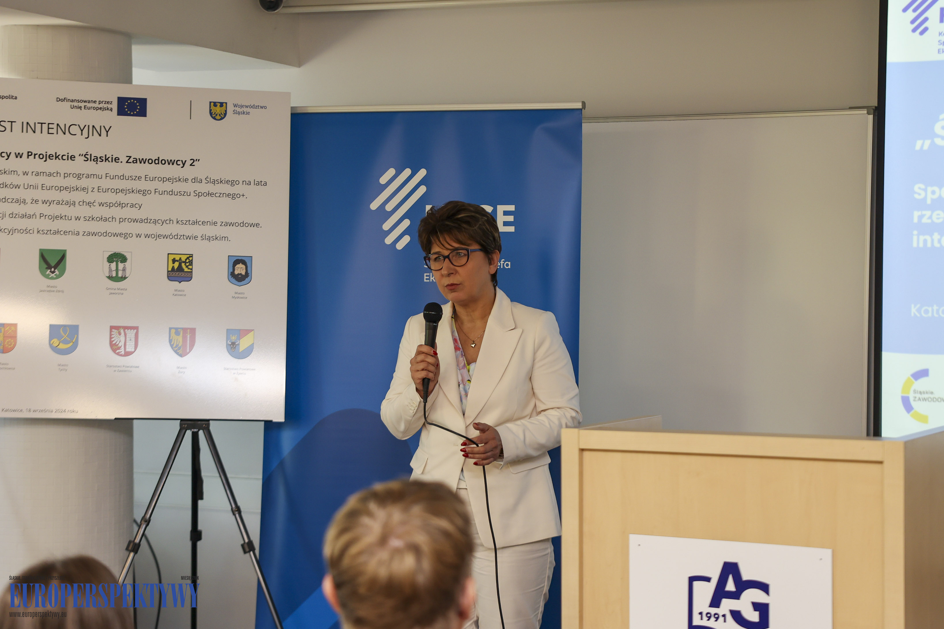 Europerspektywy "Śląskie. Zawodowcy 2"