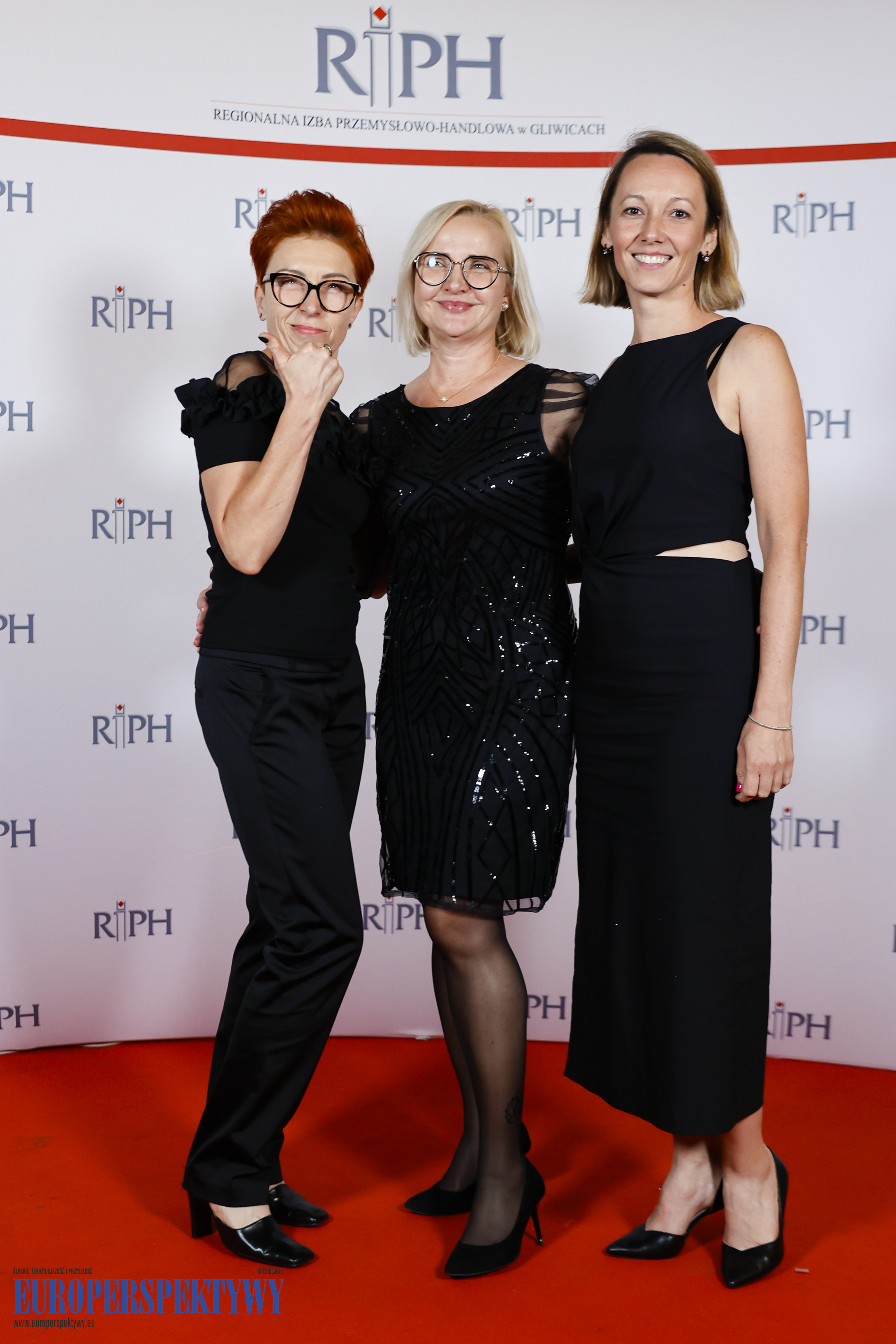 Europerspektywy Marka Śląskie 2024