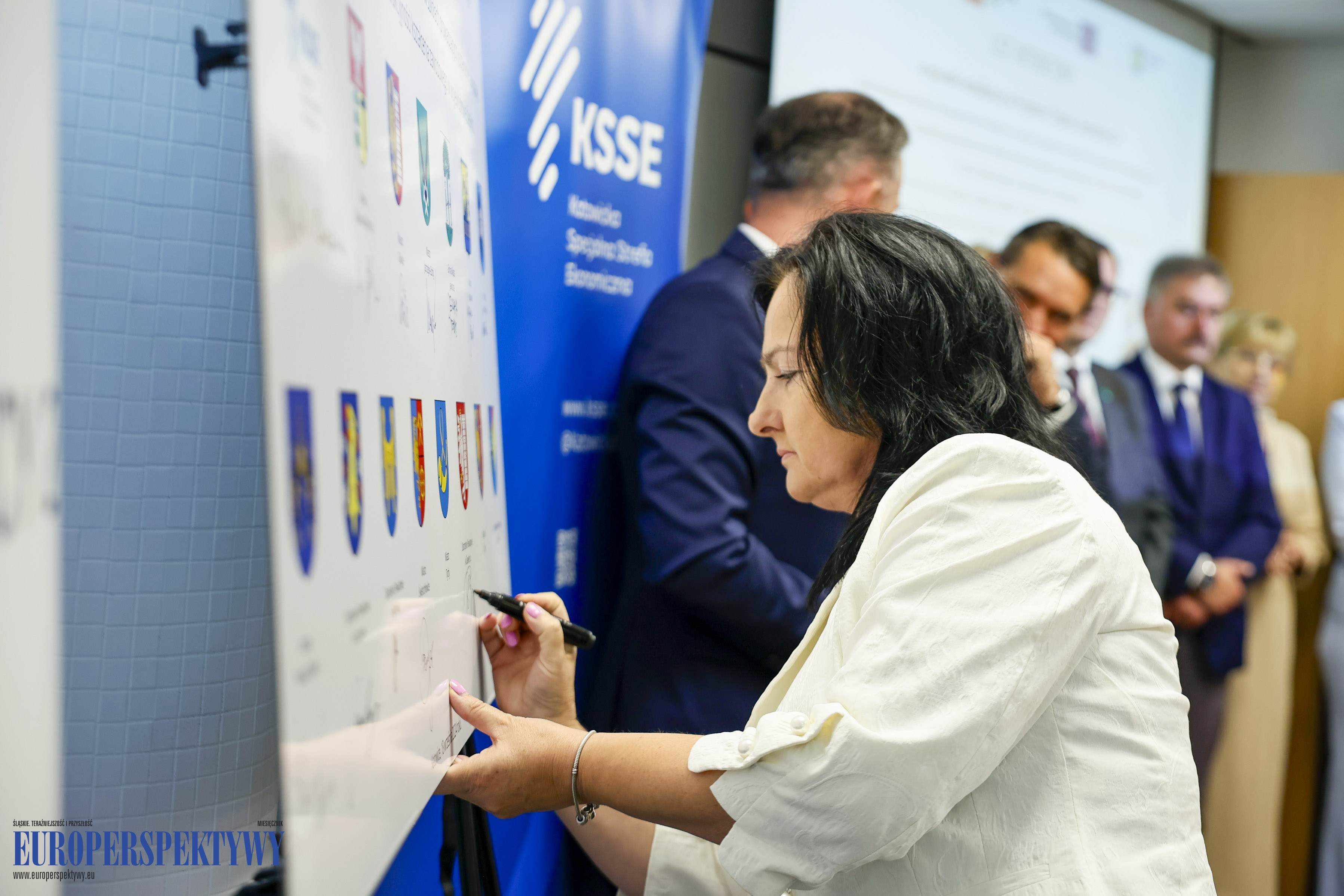 Europerspektywy "Śląskie. Zawodowcy 2"