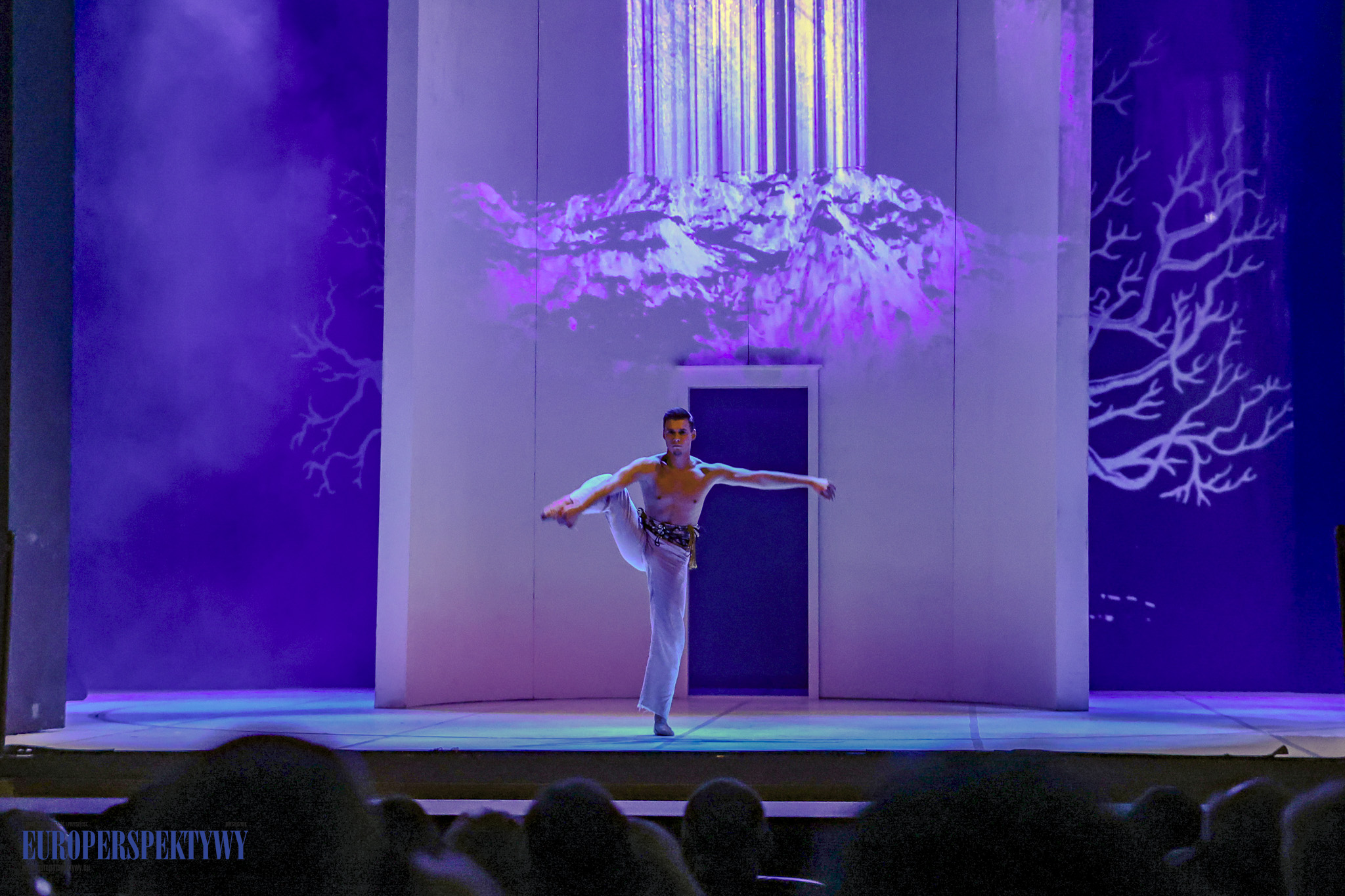 Europerspektywy (150 z 239)