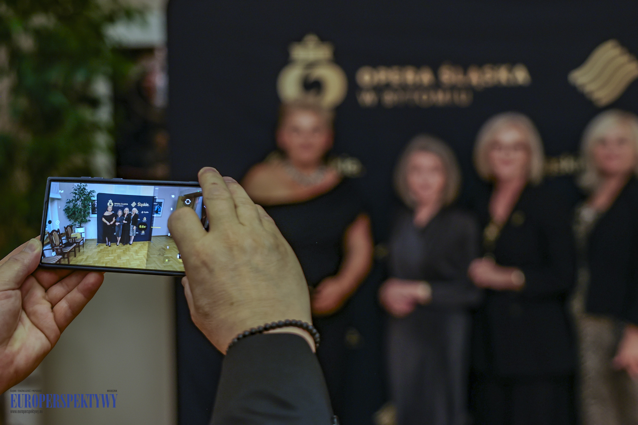 Europerspektywy (181 z 239)