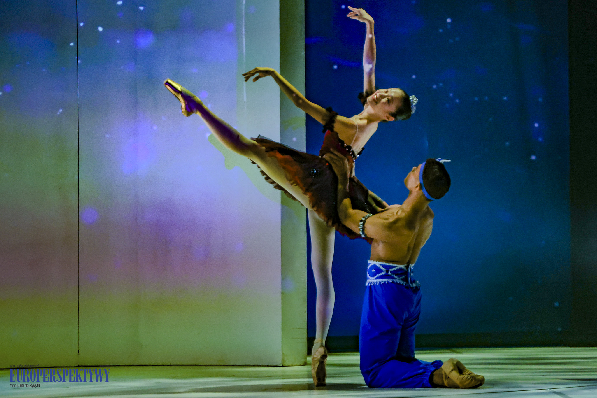 Europerspektywy (60 z 239)