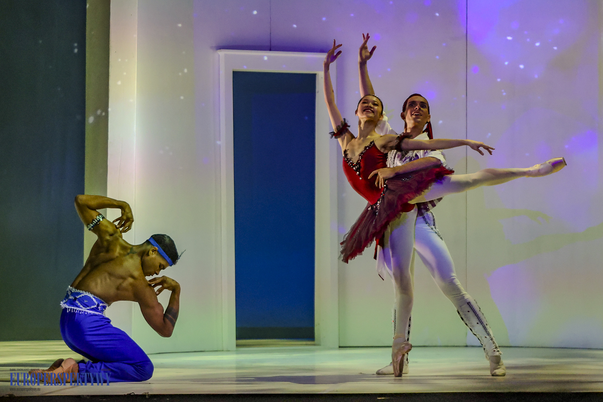 Europerspektywy (65 z 239)