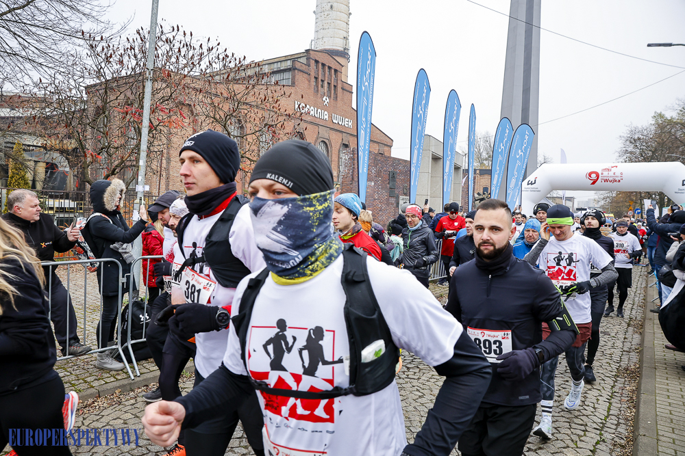 Europerspektywy Święto Niepodległości 2024 - obchody wojewódzkie