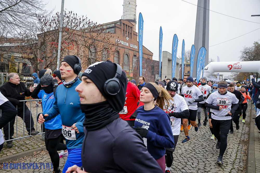 Europerspektywy Święto Niepodległości 2024 - obchody wojewódzkie