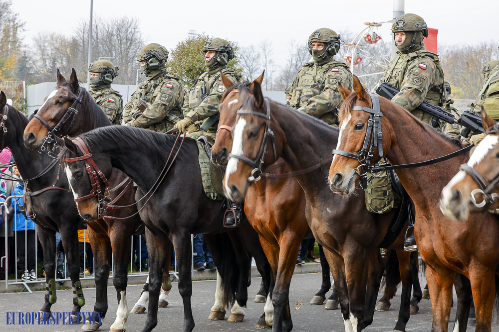 Europerspektywy Święto Niepodległości 2024 - obchody wojewódzkie