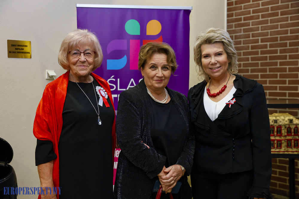 Europerspektywy Przyznano Hanysy 2024!