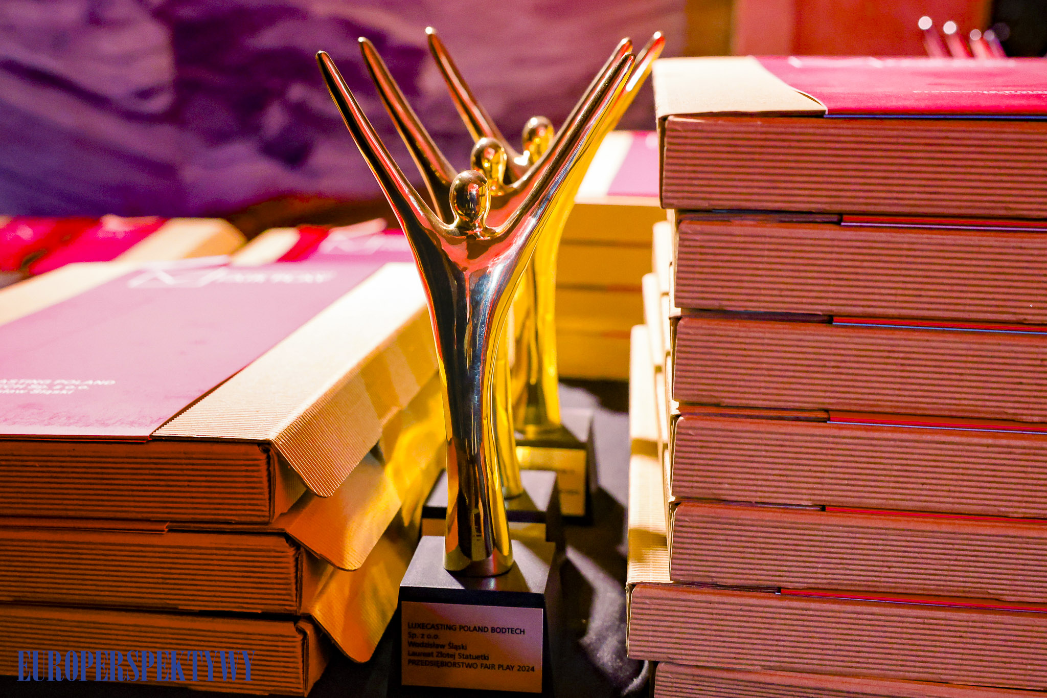 Fair_Play_2024 (41 z 753)