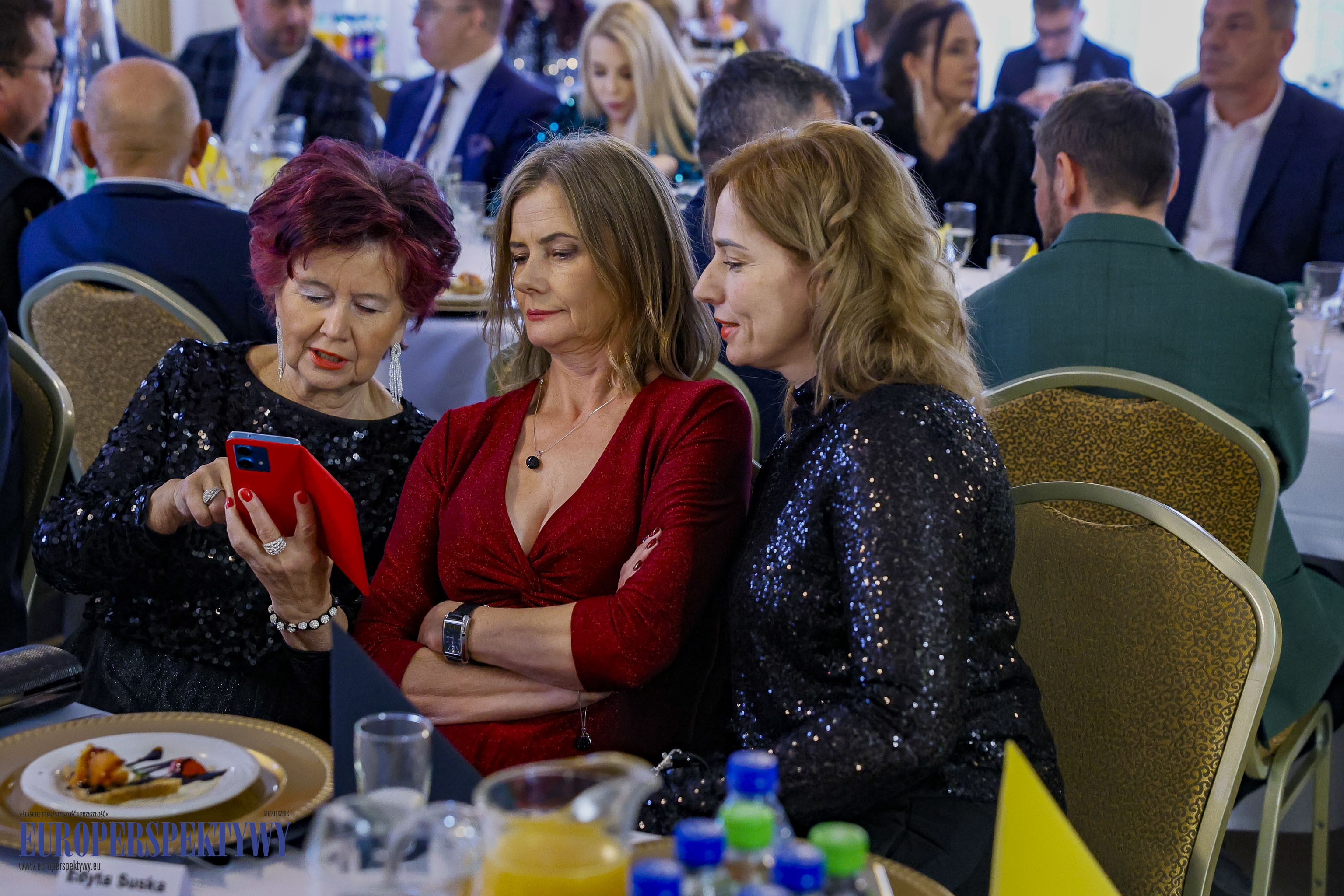 Europerspektywy PPUH “DOLOMIT” Barbórka 2024