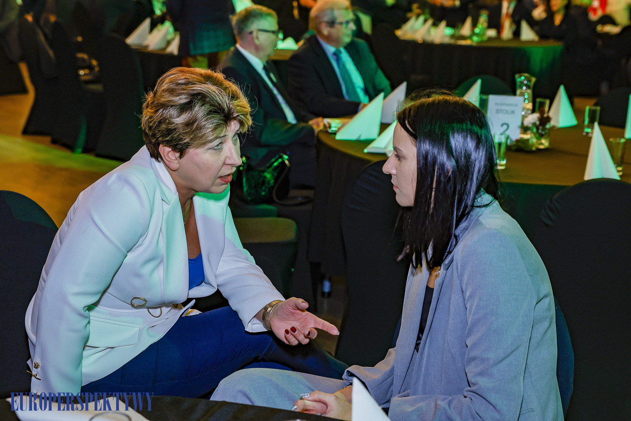 _MG_0167 Europerspektywy Gospodarcze Zamknięcie Roku 2024 RIG