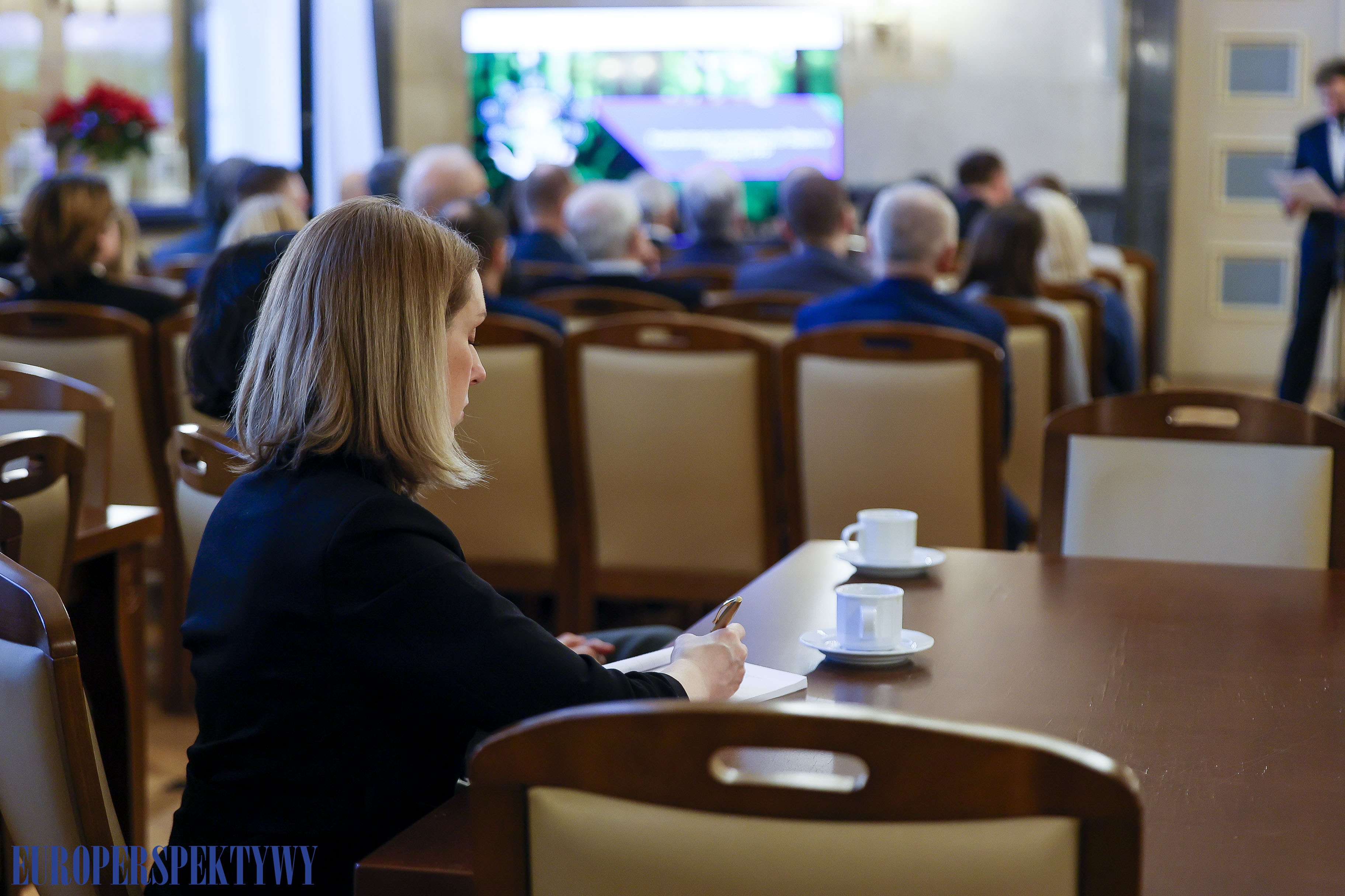 Europerspektywy Transformacja energetyczna a model PPP