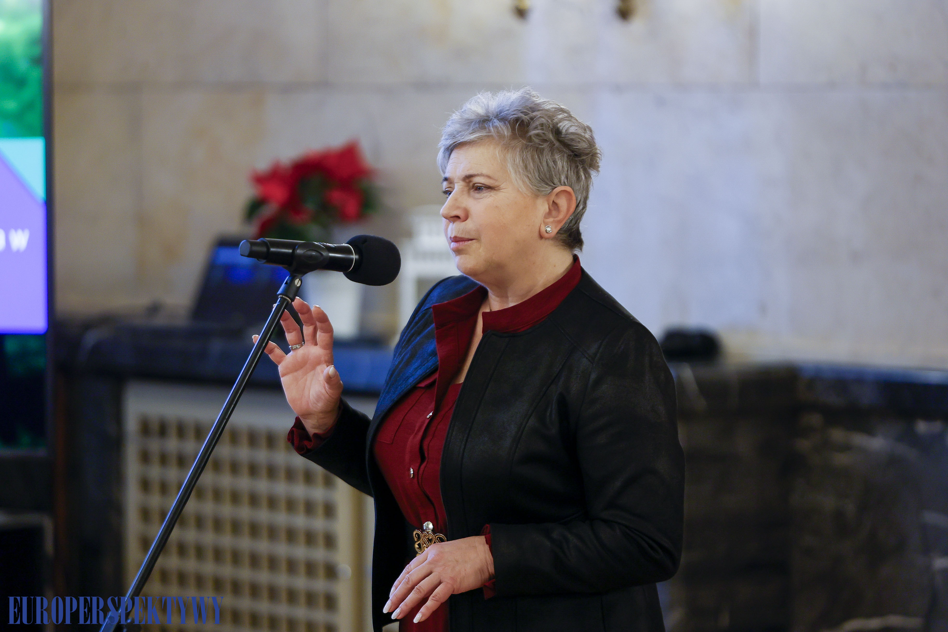 Europerspektywy Transformacja energetyczna a model PPP