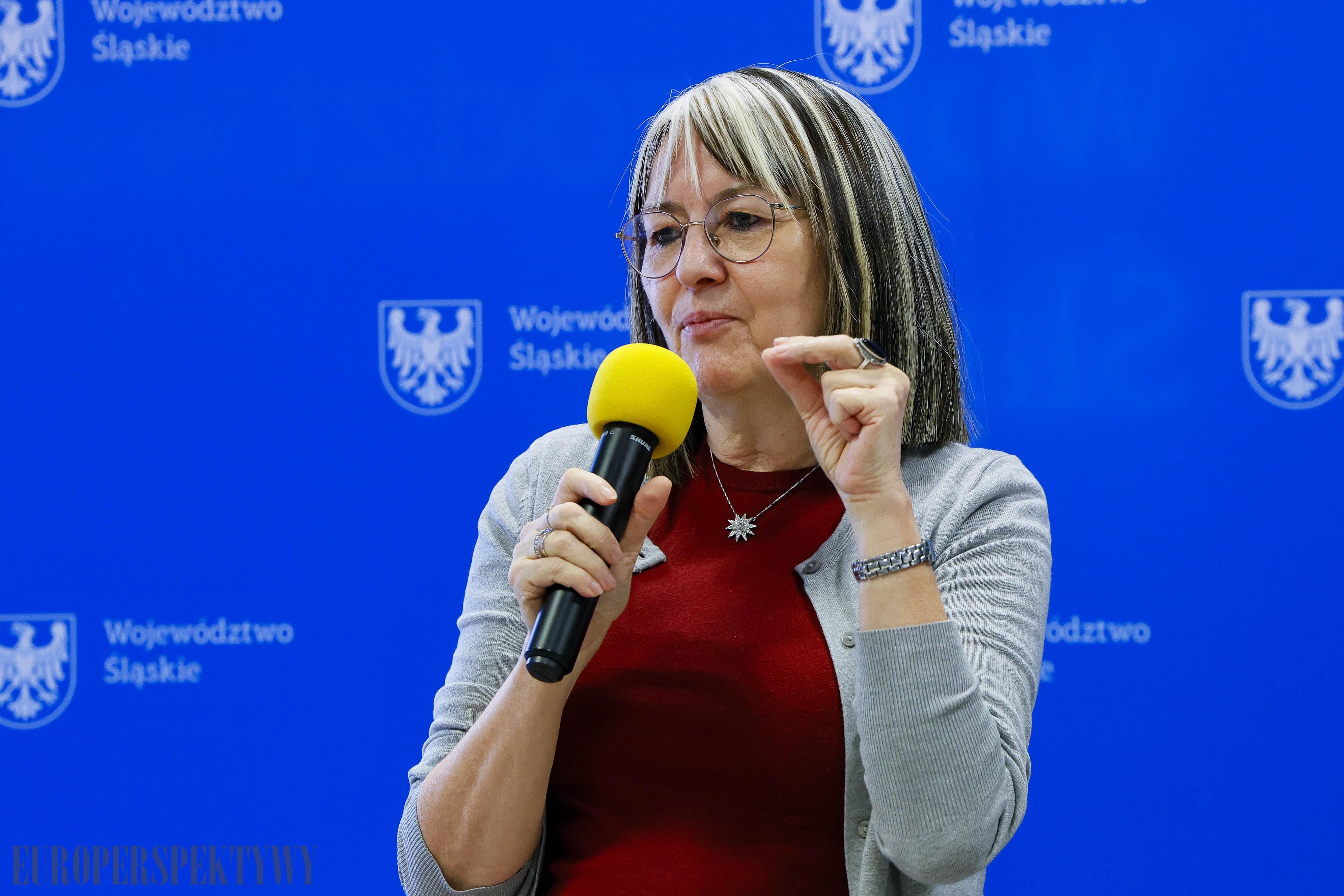 EP (15 z 31) Europerspektywy Po ślōnsku – Biblioteka Śląska popularyzuje i promuje