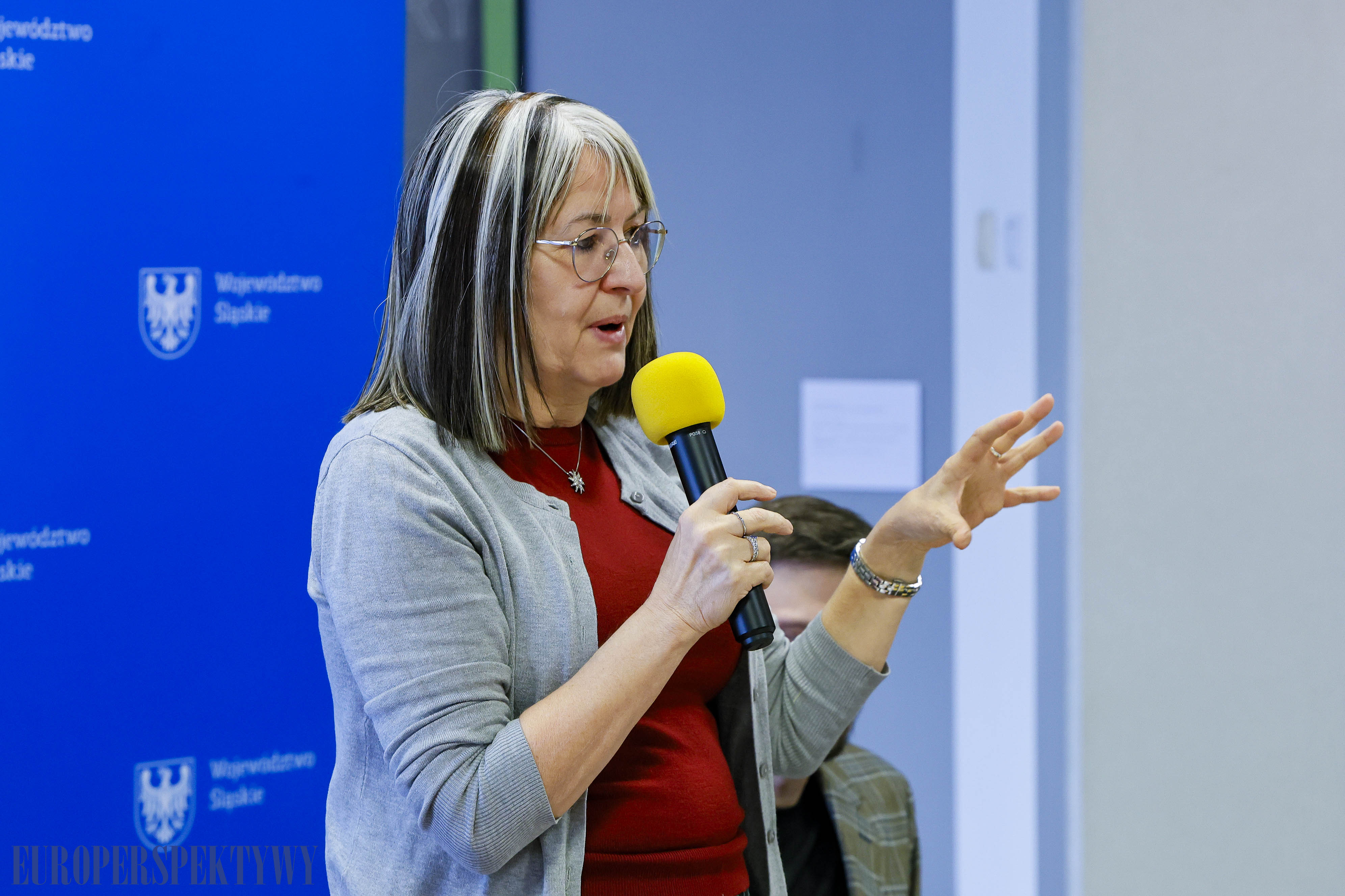 EP (16 z 31) Europerspektywy Po ślōnsku – Biblioteka Śląska popularyzuje i promuje