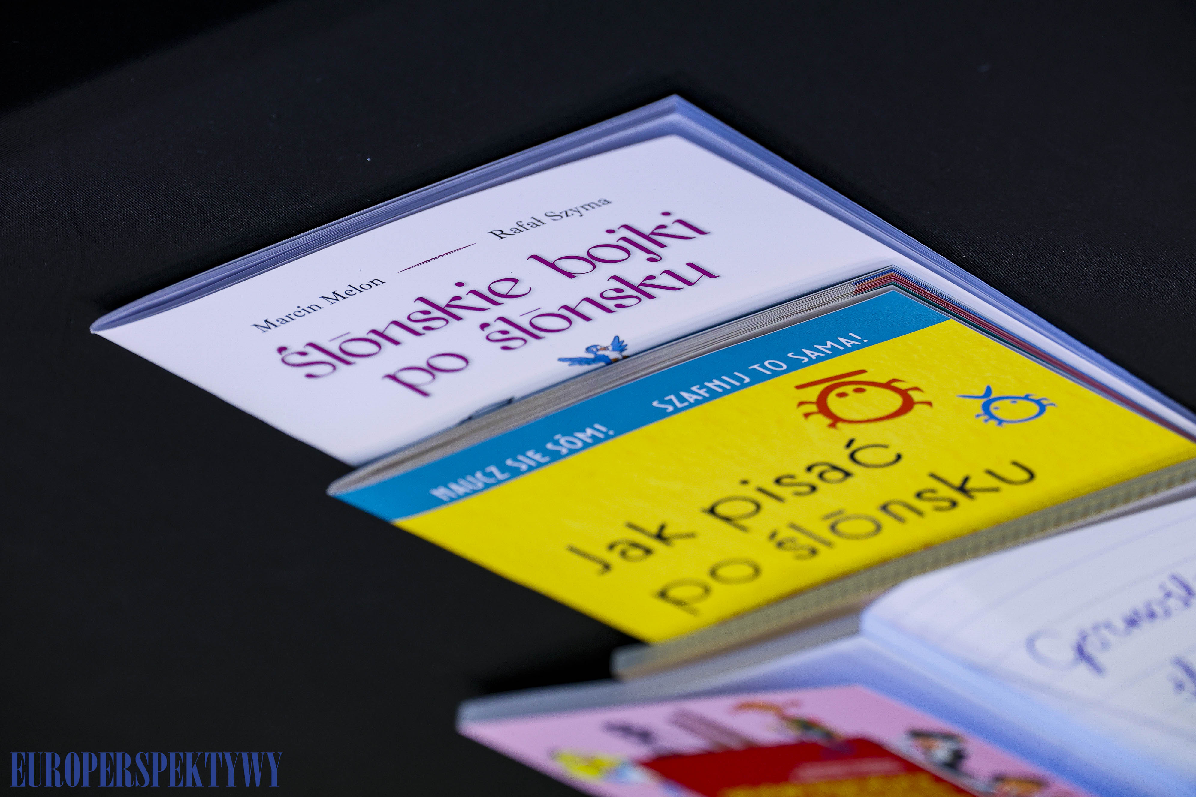 EP (18 z 31) Europerspektywy Po ślōnsku – Biblioteka Śląska popularyzuje i promuje