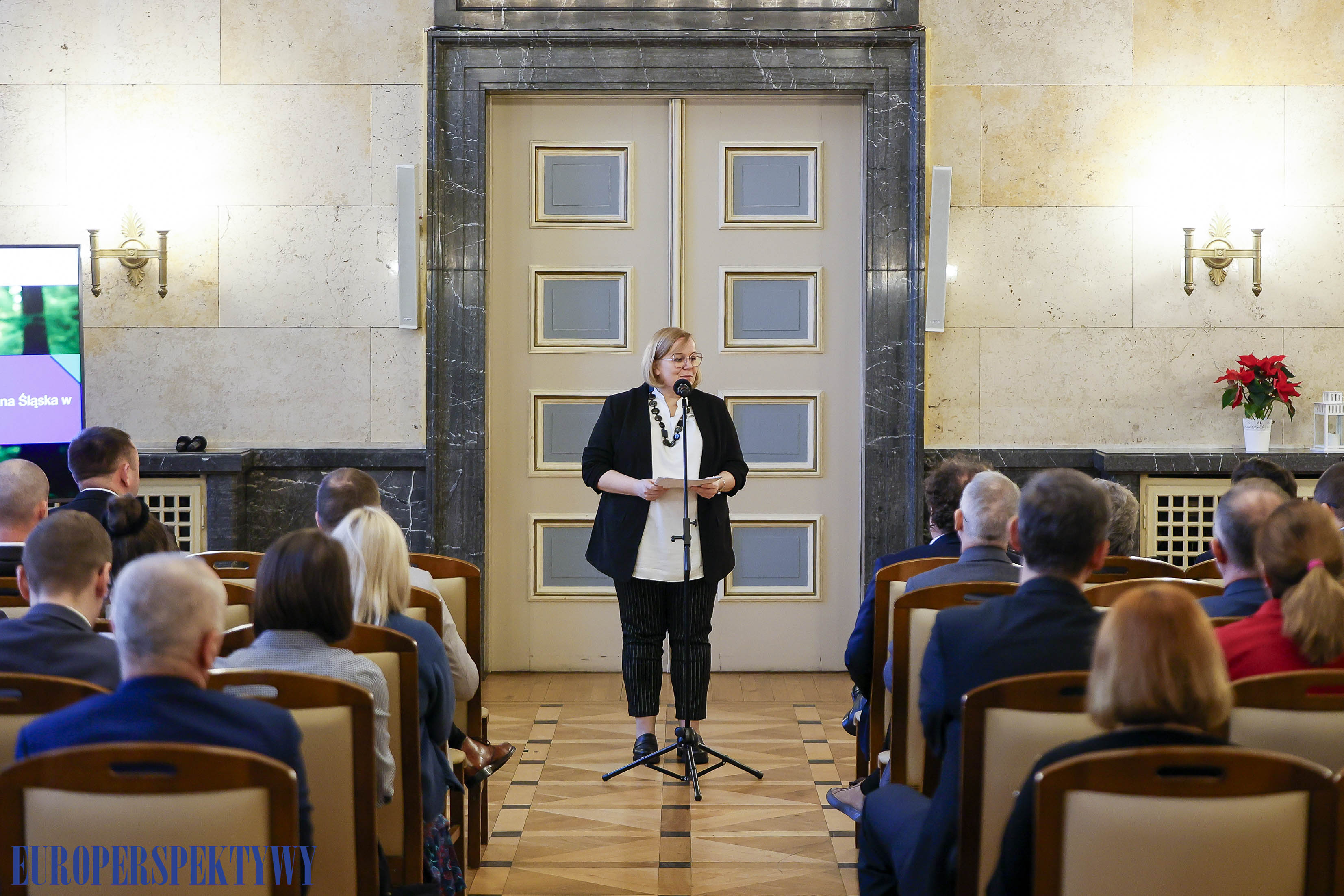 Europerspektywy Transformacja energetyczna a model PPP