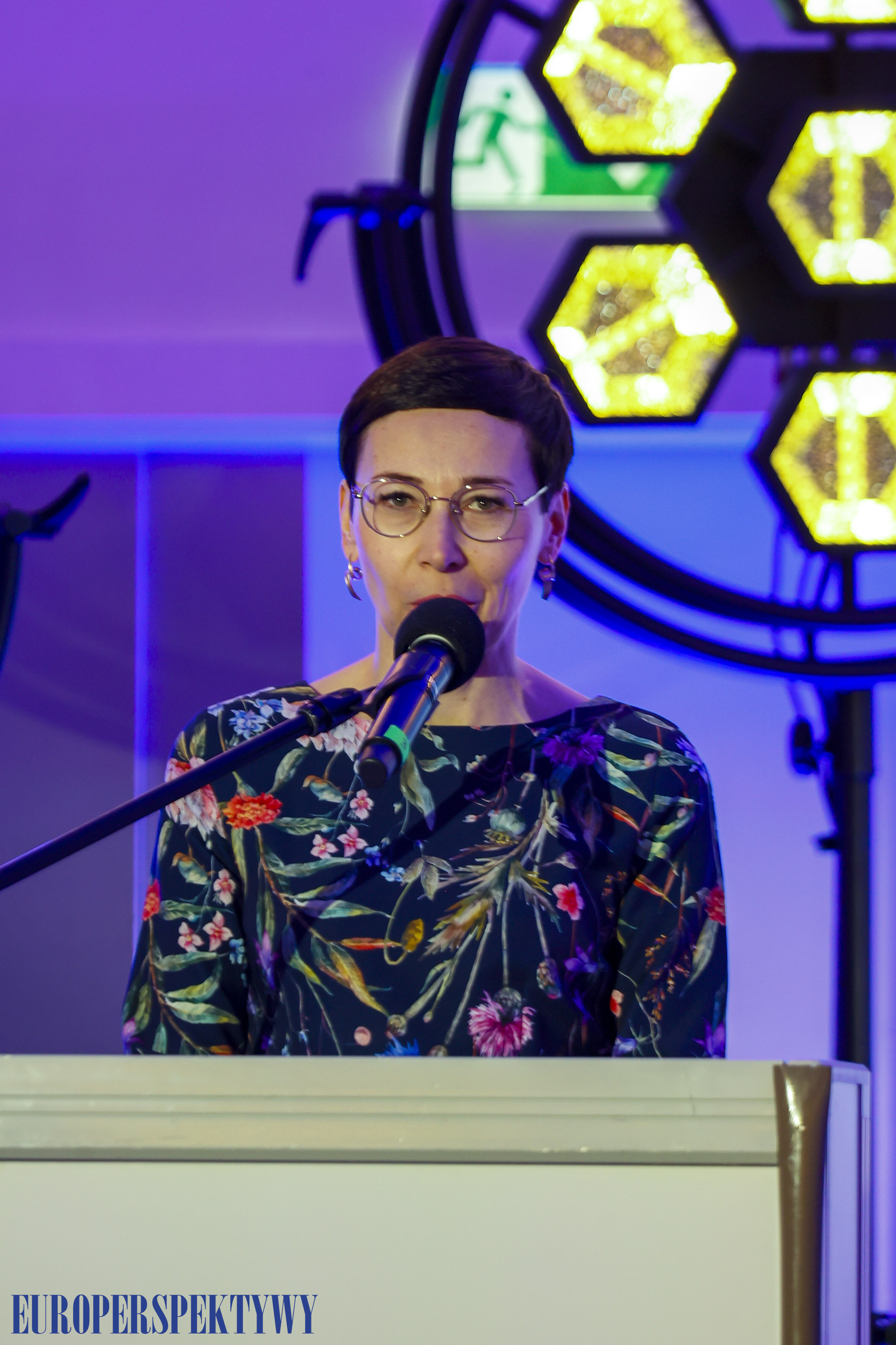 Europerspektywy Śląskie. Zawodowcy 2