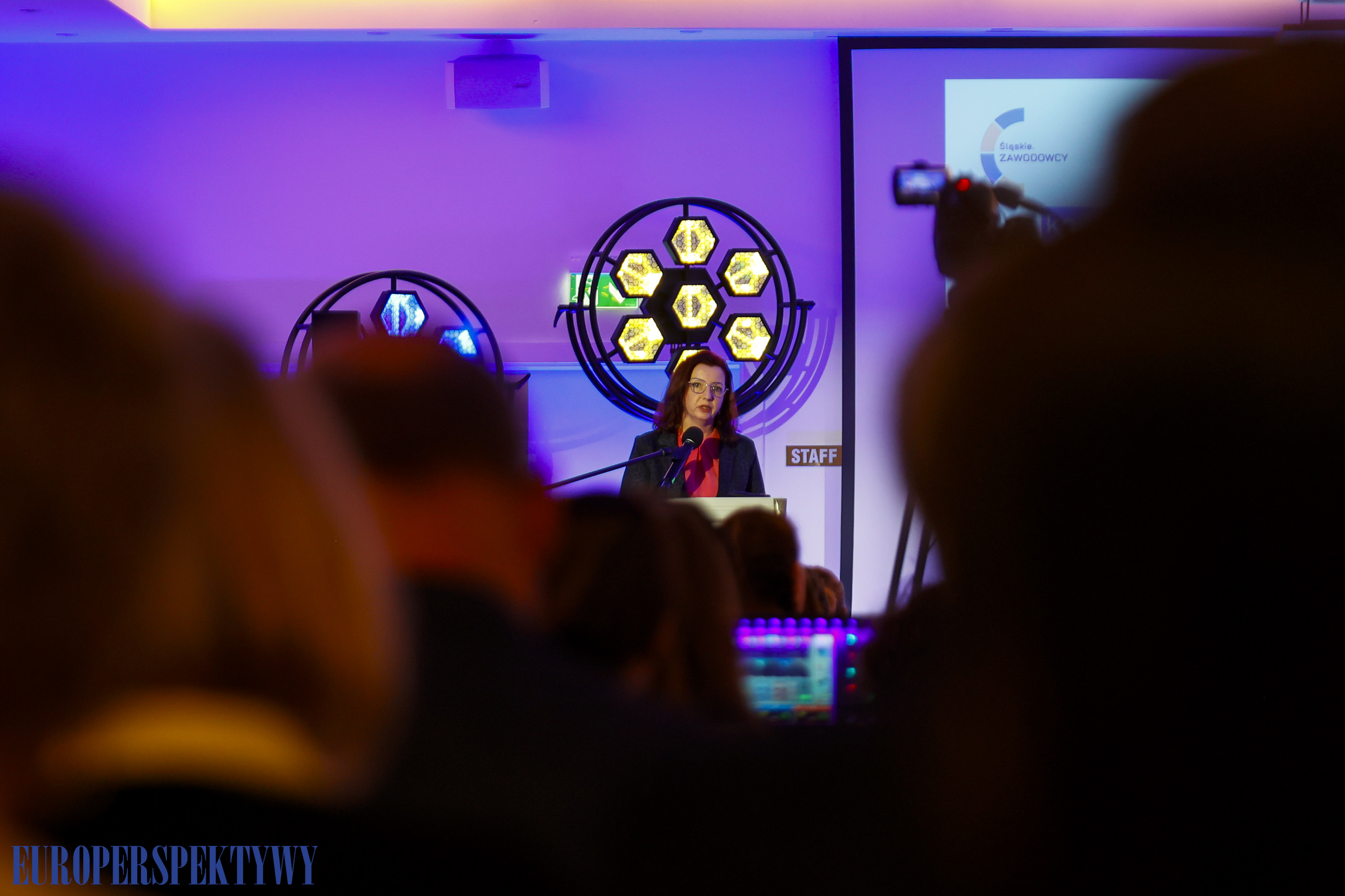 Europerspektywy Śląskie. Zawodowcy 2