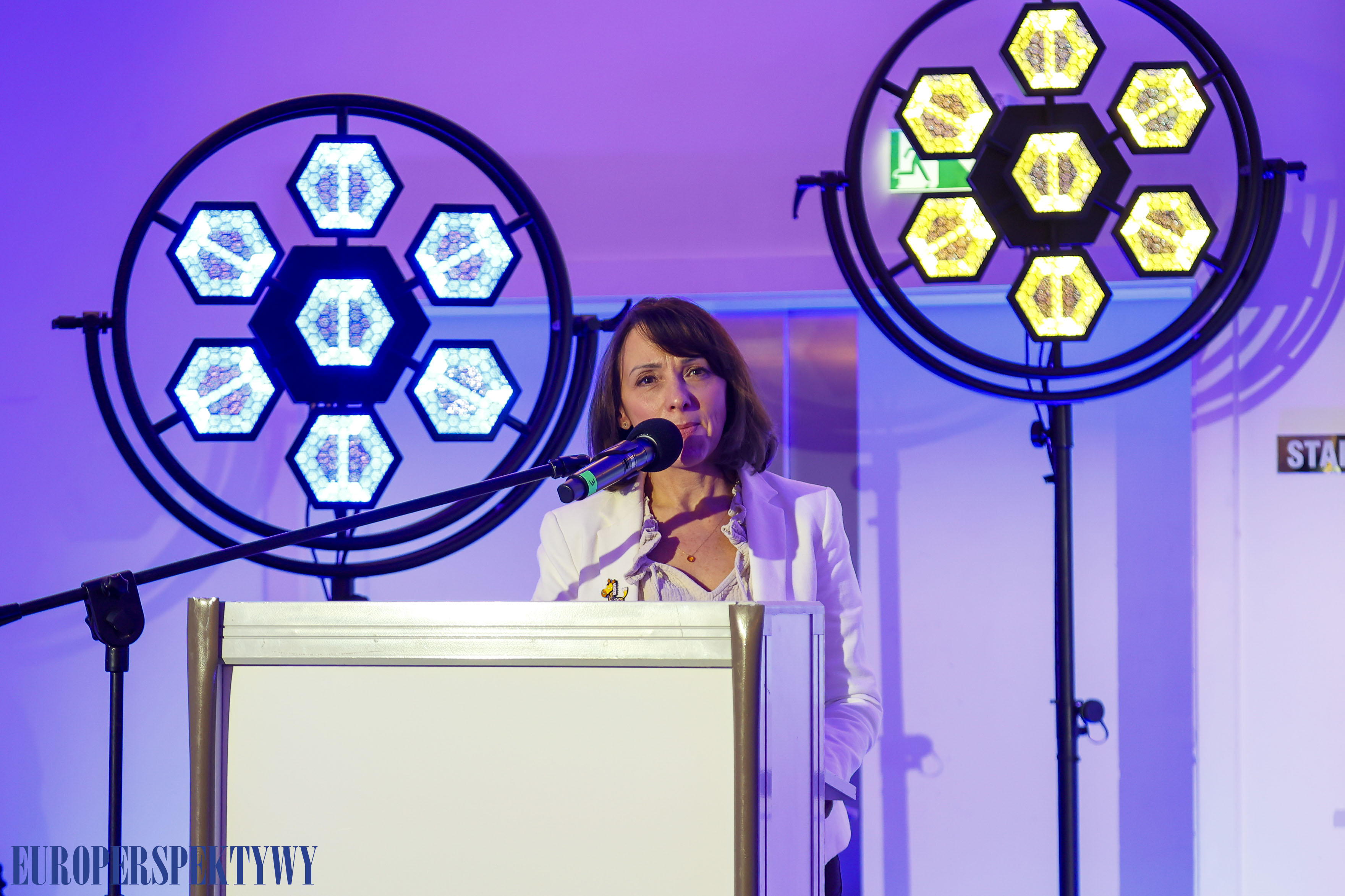 Europerspektywy Śląskie. Zawodowcy 2