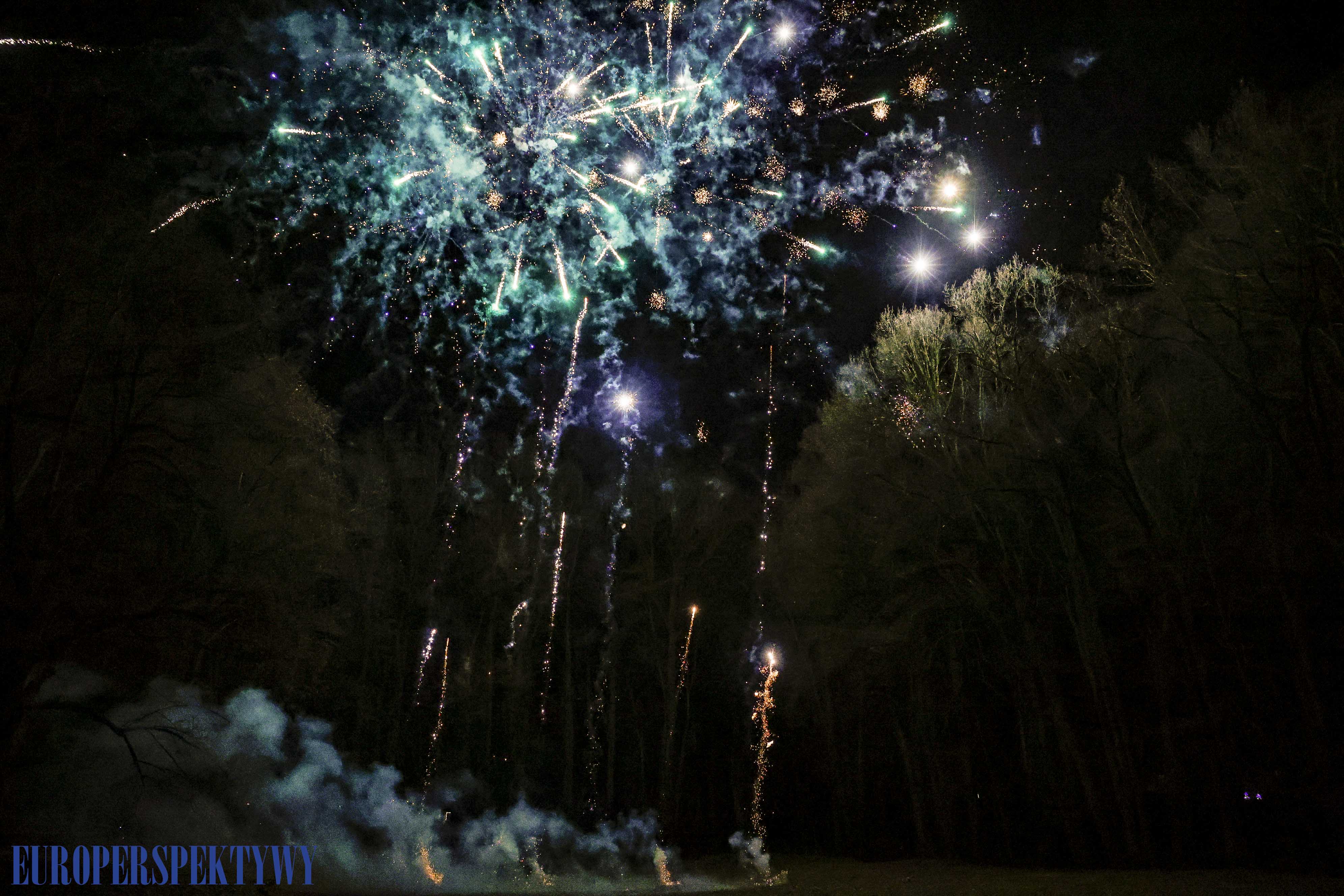 EP (55 z 79) Europerspektywy Pałac w Rzuchowie – VI koncert noworoczny