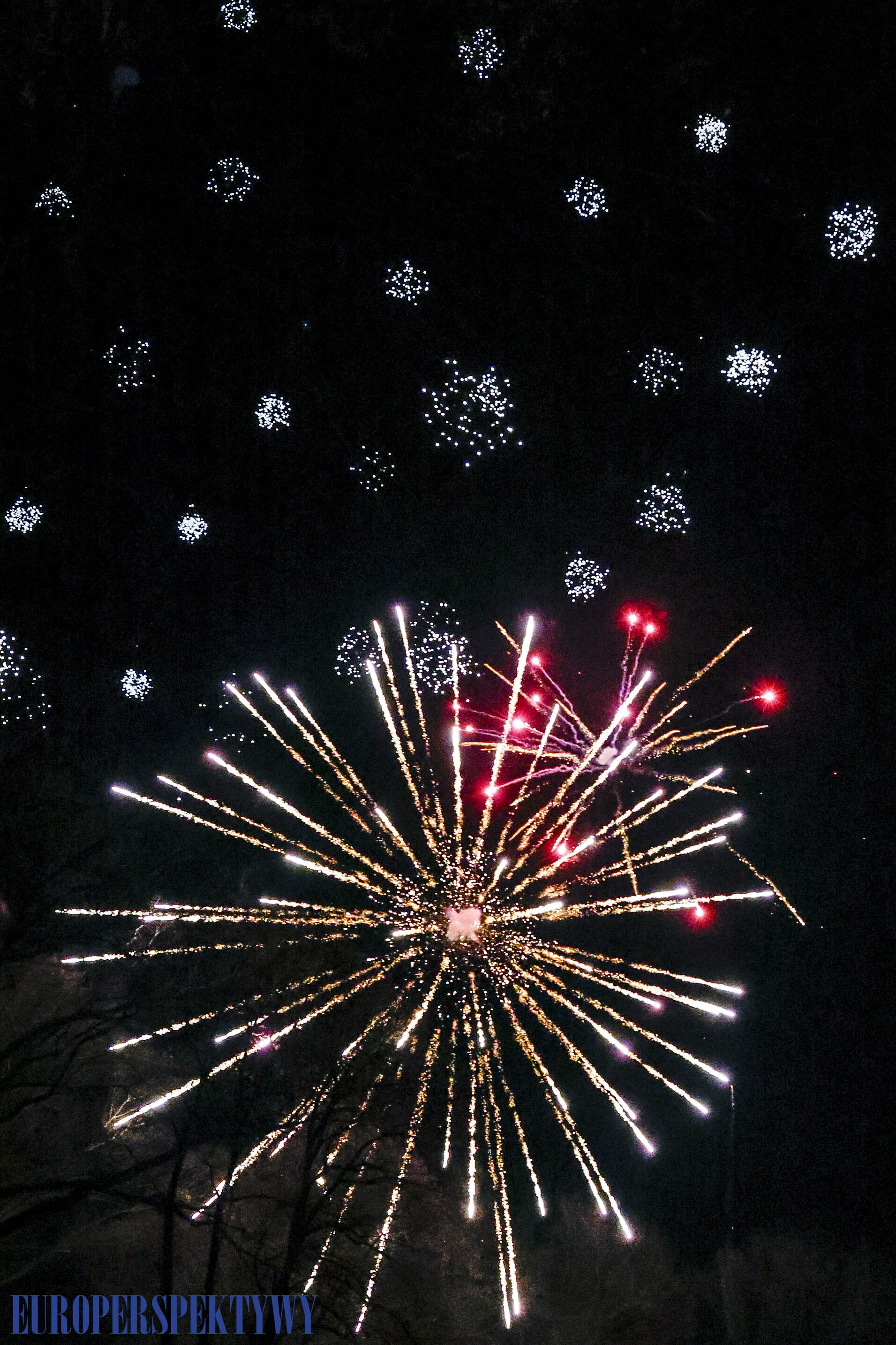 EP (56 z 79) Europerspektywy Pałac w Rzuchowie – VI koncert noworoczny