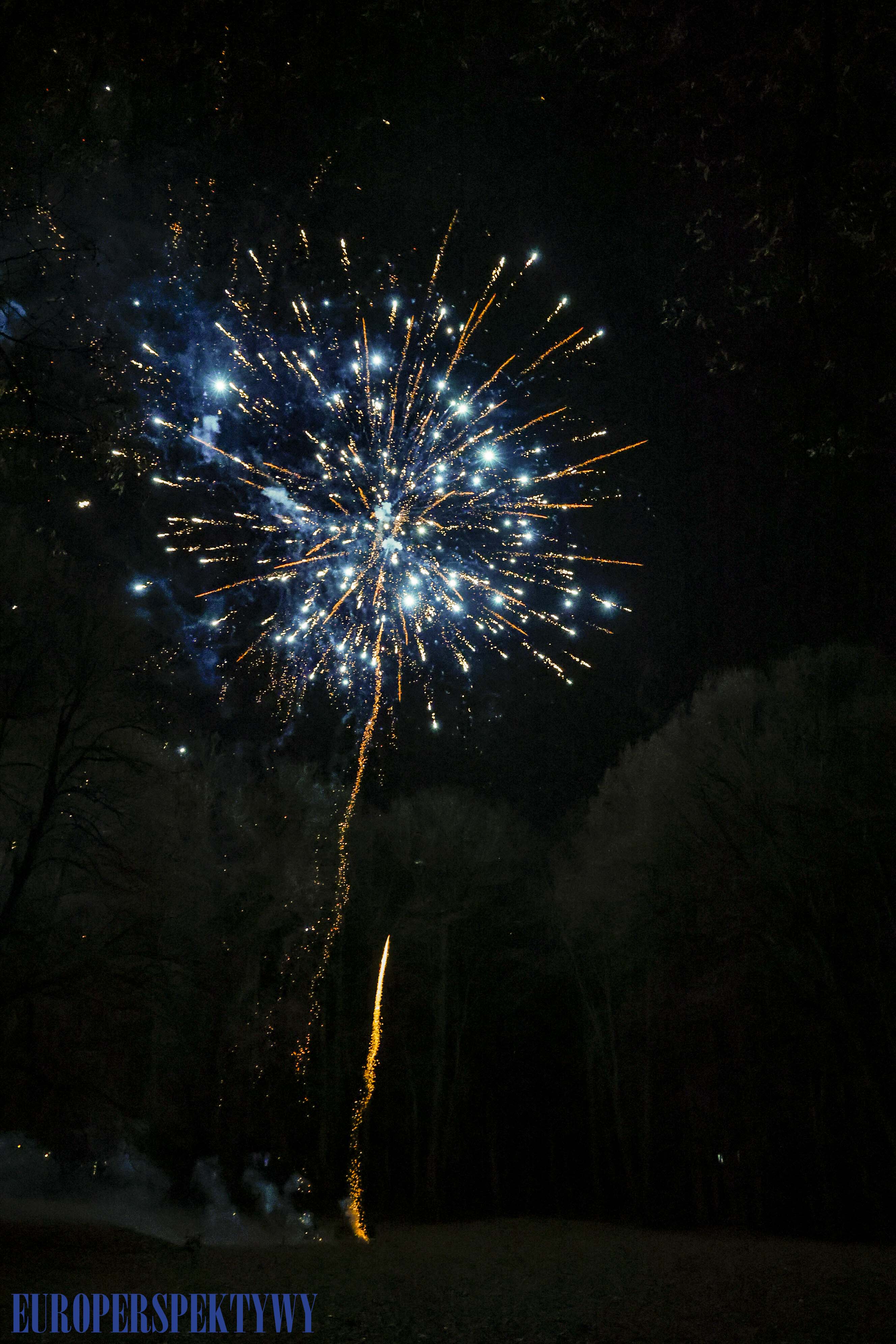 EP (61 z 79) Europerspektywy Pałac w Rzuchowie – VI koncert noworoczny