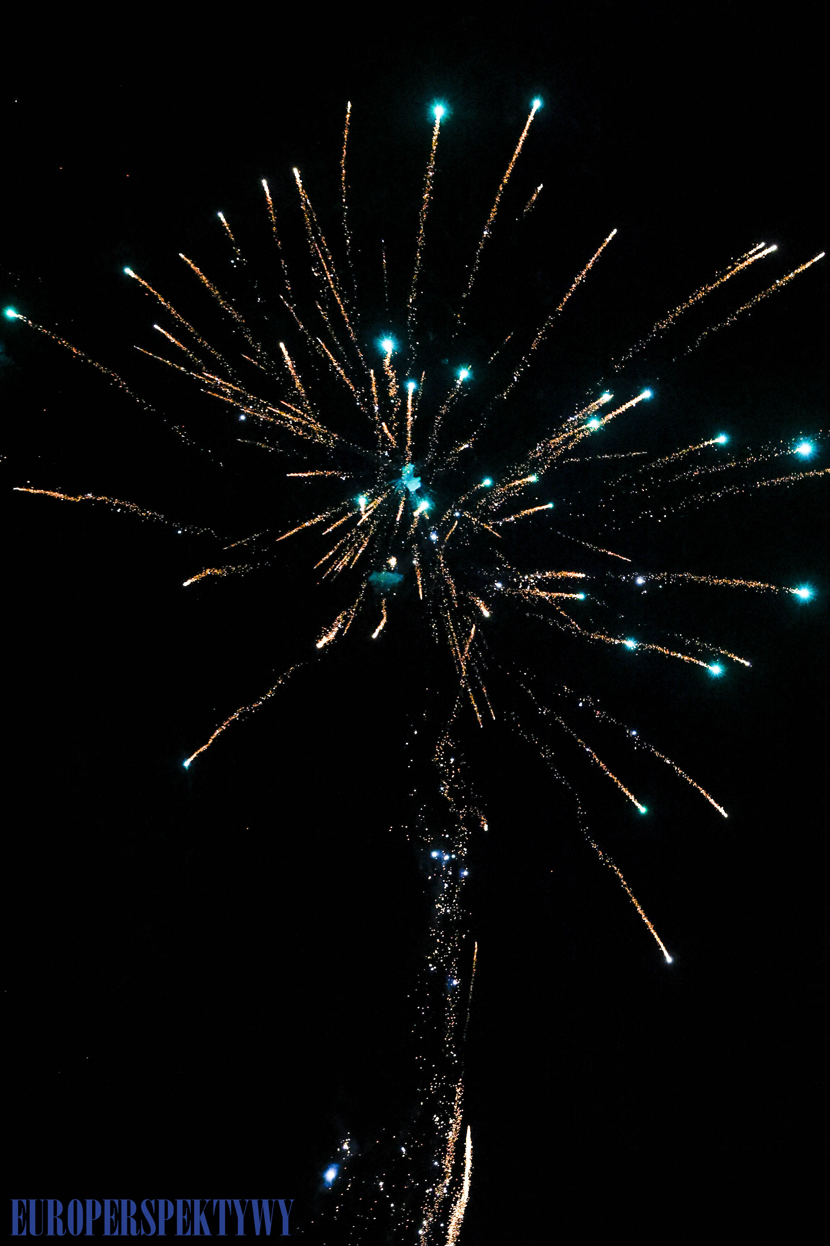 EP (64 z 79) Europerspektywy Pałac w Rzuchowie – VI koncert noworoczny