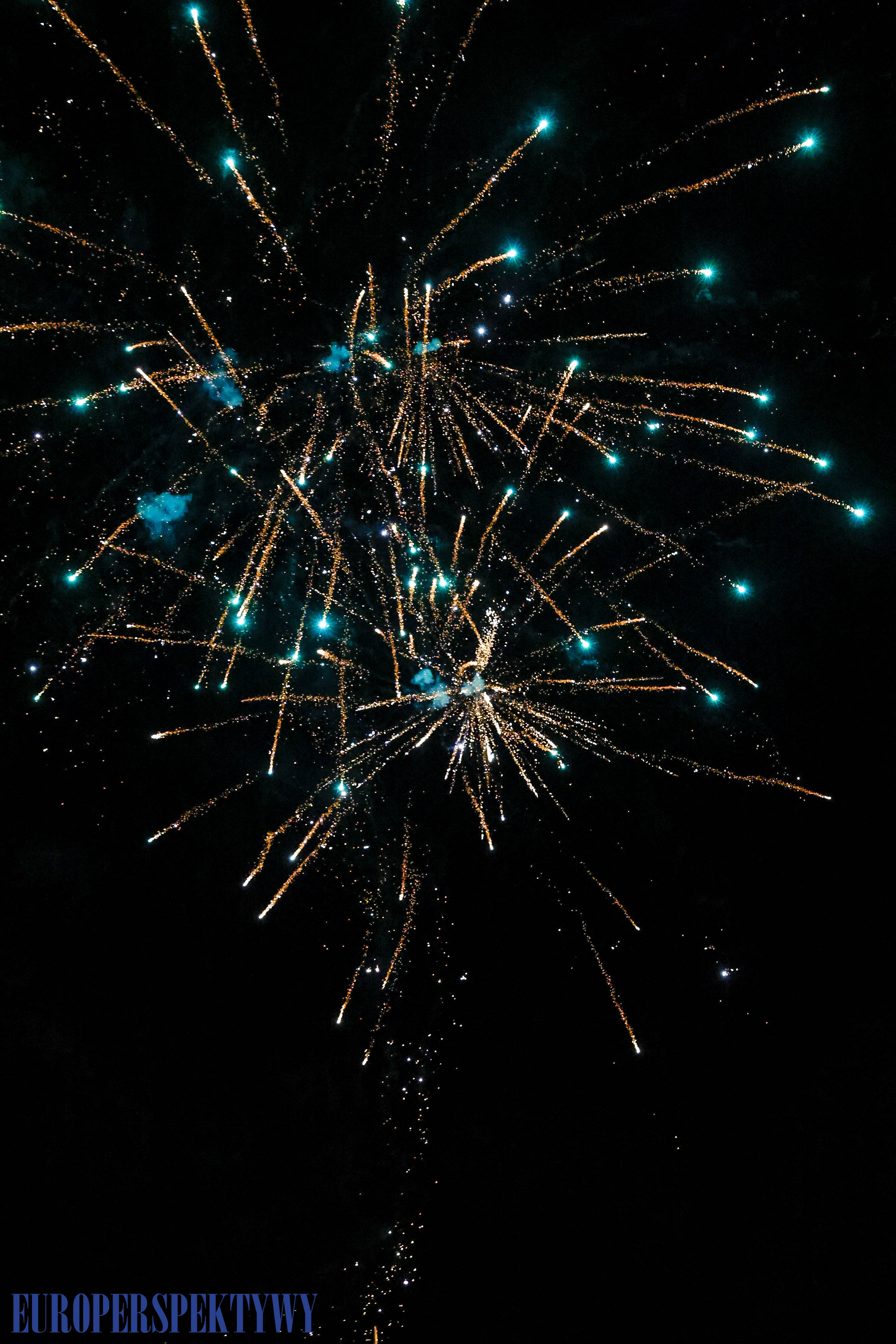 EP (66 z 79) Europerspektywy Pałac w Rzuchowie – VI koncert noworoczny