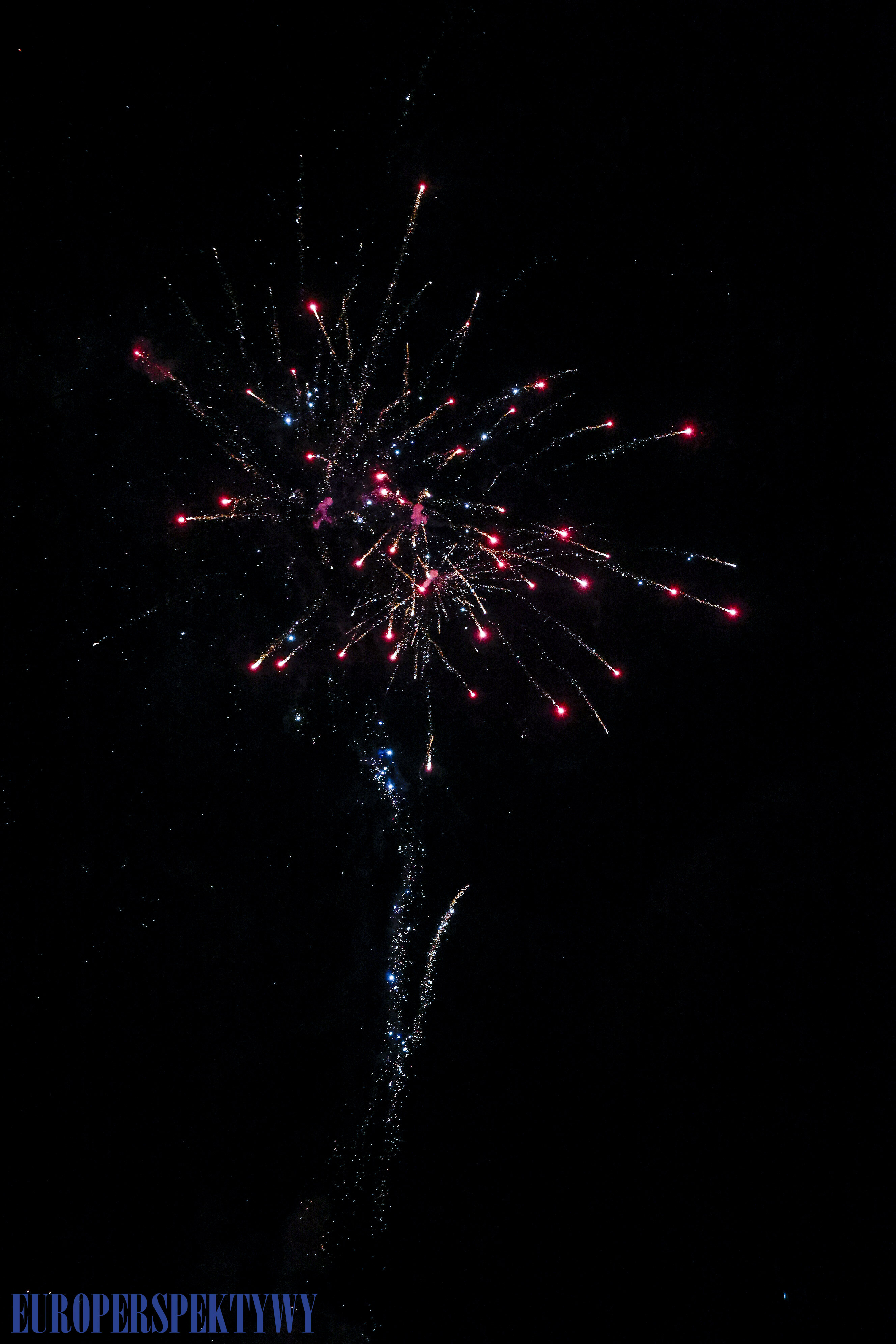 EP (67 z 79) Europerspektywy Pałac w Rzuchowie – VI koncert noworoczny