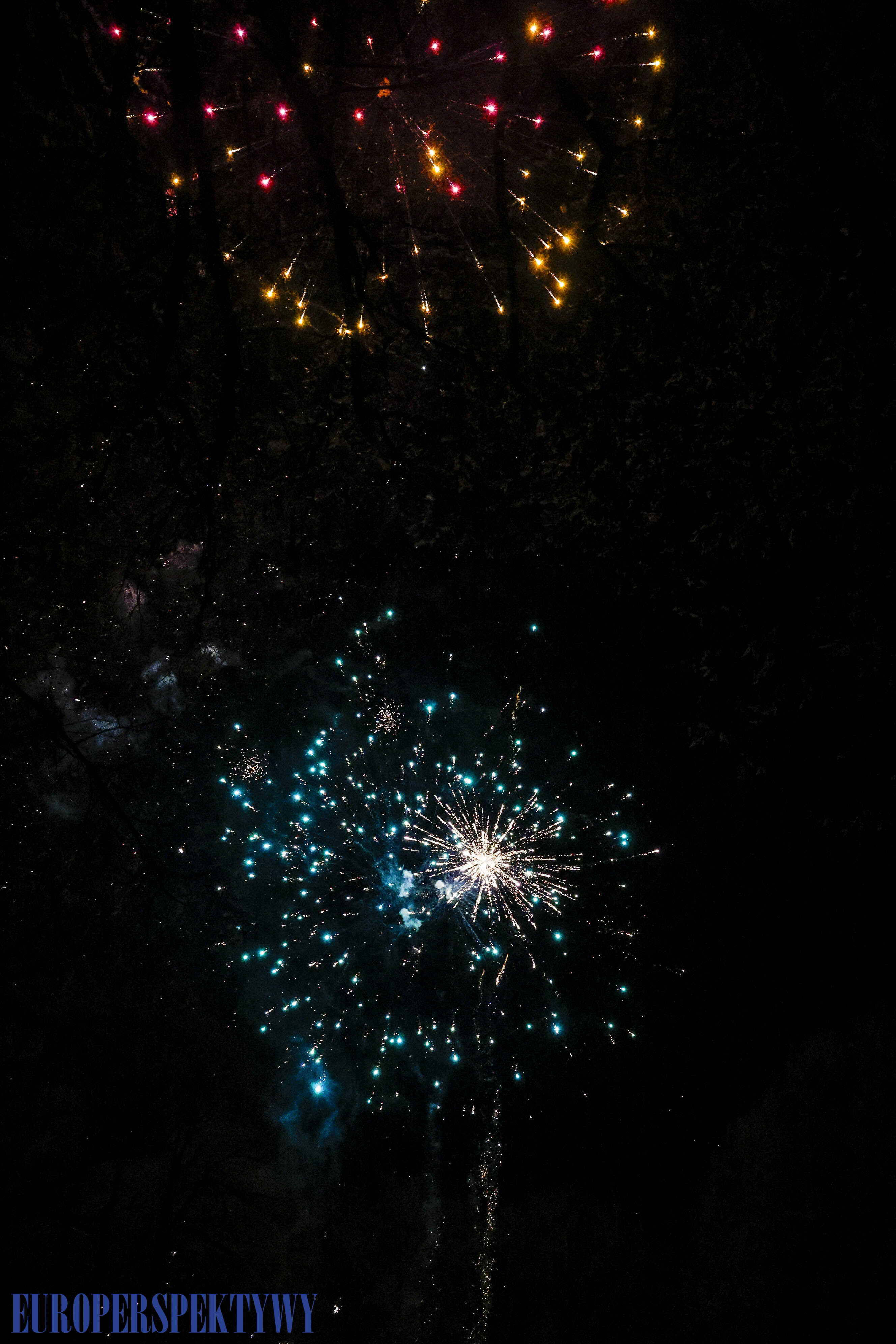 EP (68 z 79) Europerspektywy Pałac w Rzuchowie – VI koncert noworoczny