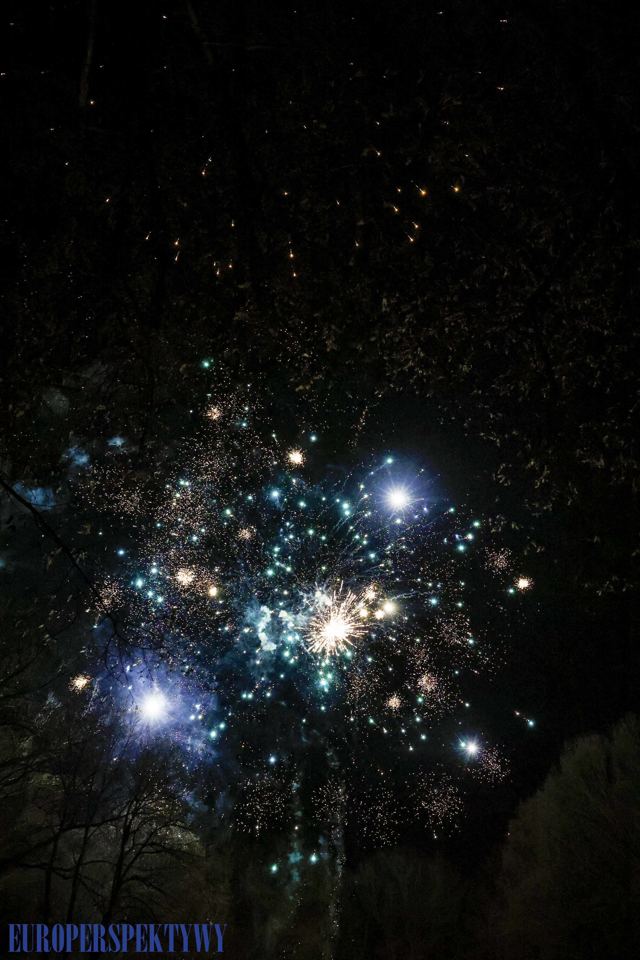 EP (69 z 79) Europerspektywy Pałac w Rzuchowie – VI koncert noworoczny