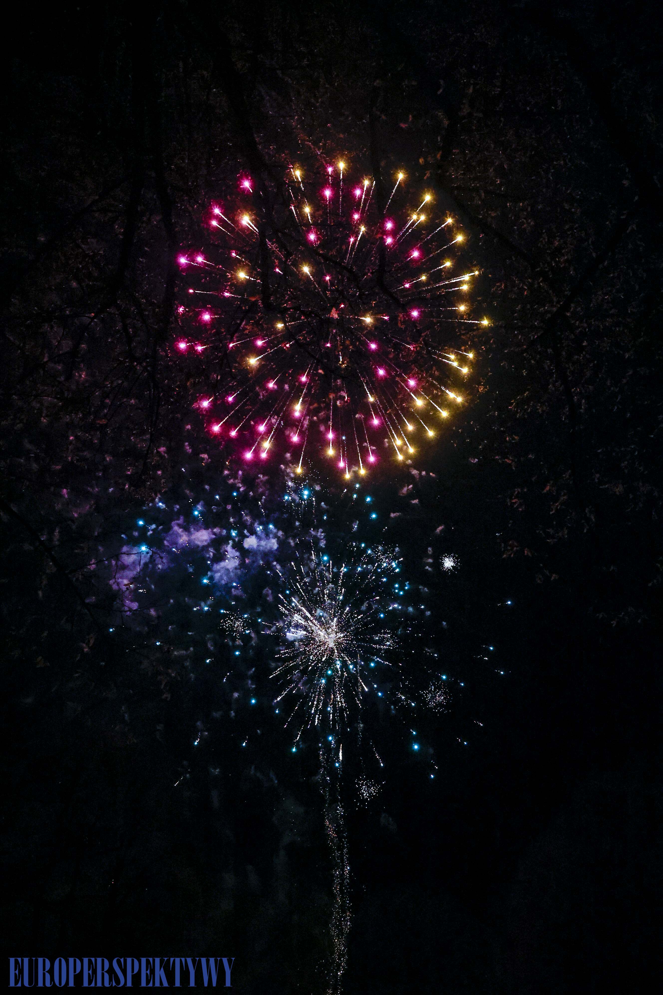 EP (70 z 79) Europerspektywy Pałac w Rzuchowie – VI koncert noworoczny