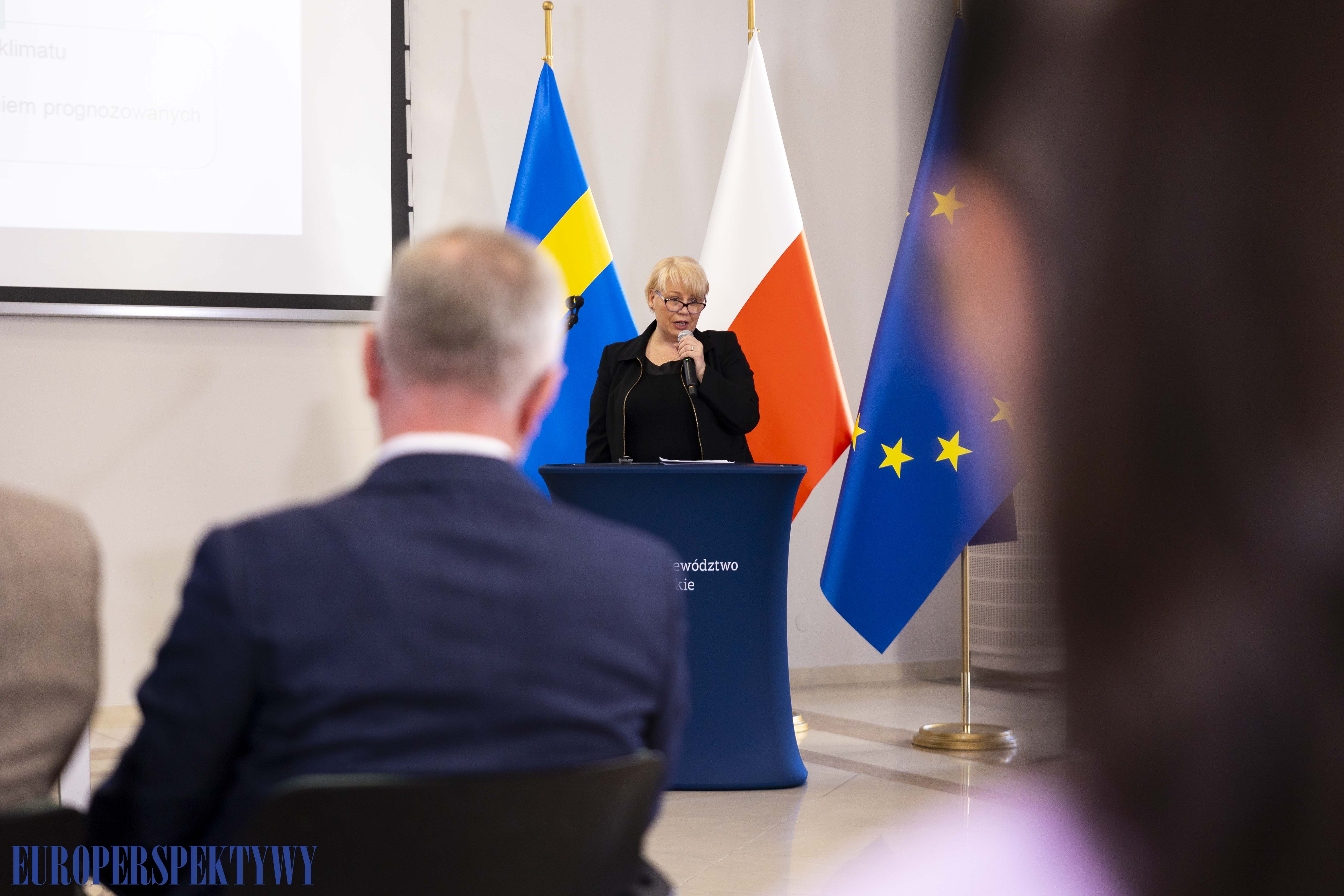 Europerspektywy RPA dla Śląskiego