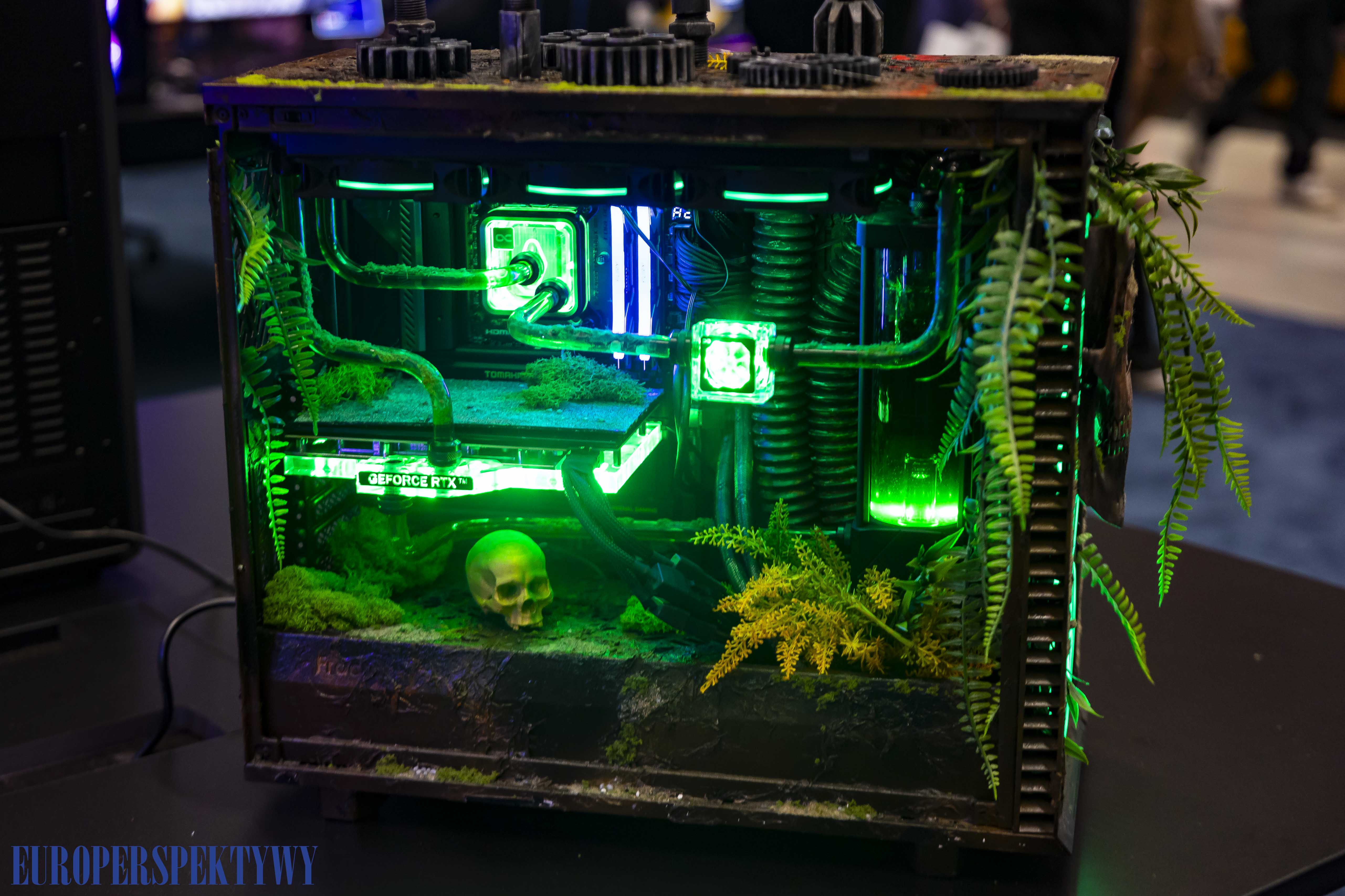 Europerspektywy Team Vitality mistrzami IEM Katowice 2025