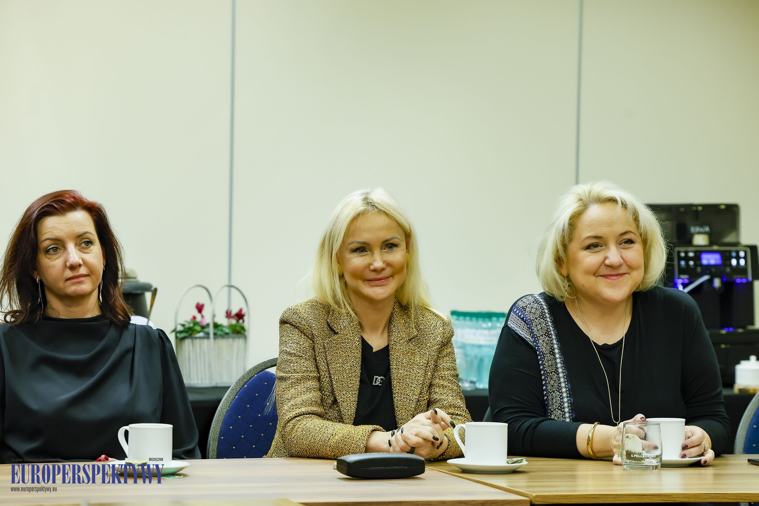 Europerspektywy Spotkanie Rotary Club Katowice