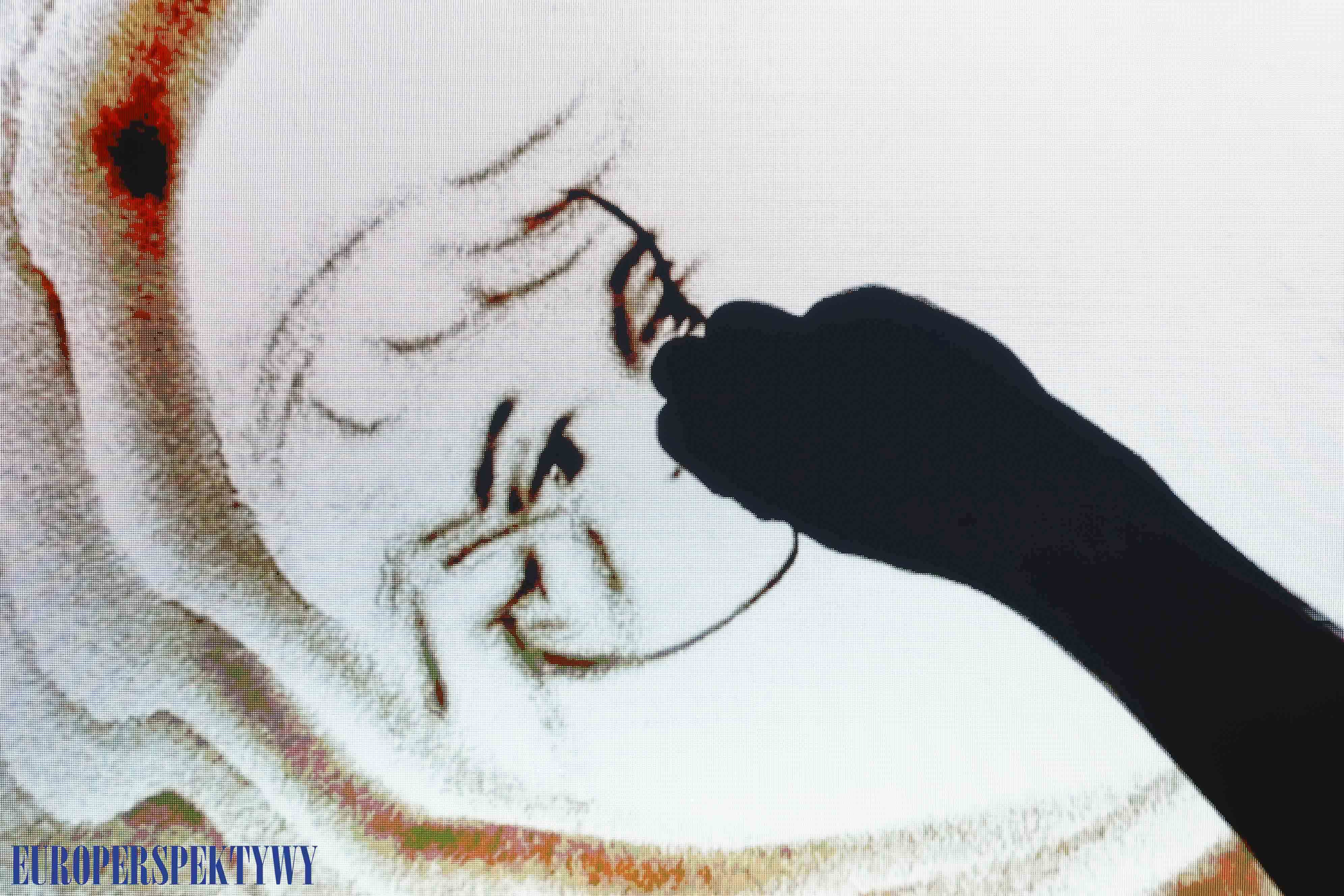 Europerspektywy Lider Polskiego Biznesu 2025 - finał 32. edycji