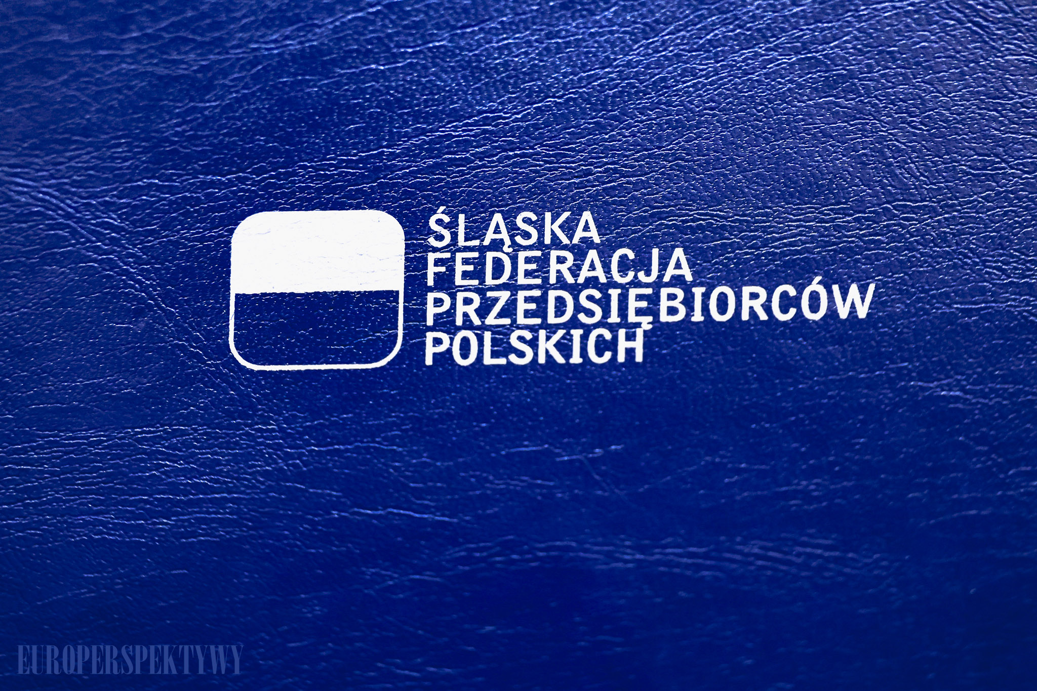 EUROPERSPEKTYWY-1 Europerspektywy Debata ŚFPP: „Metropolia 2.0 – Quo Vadis?”