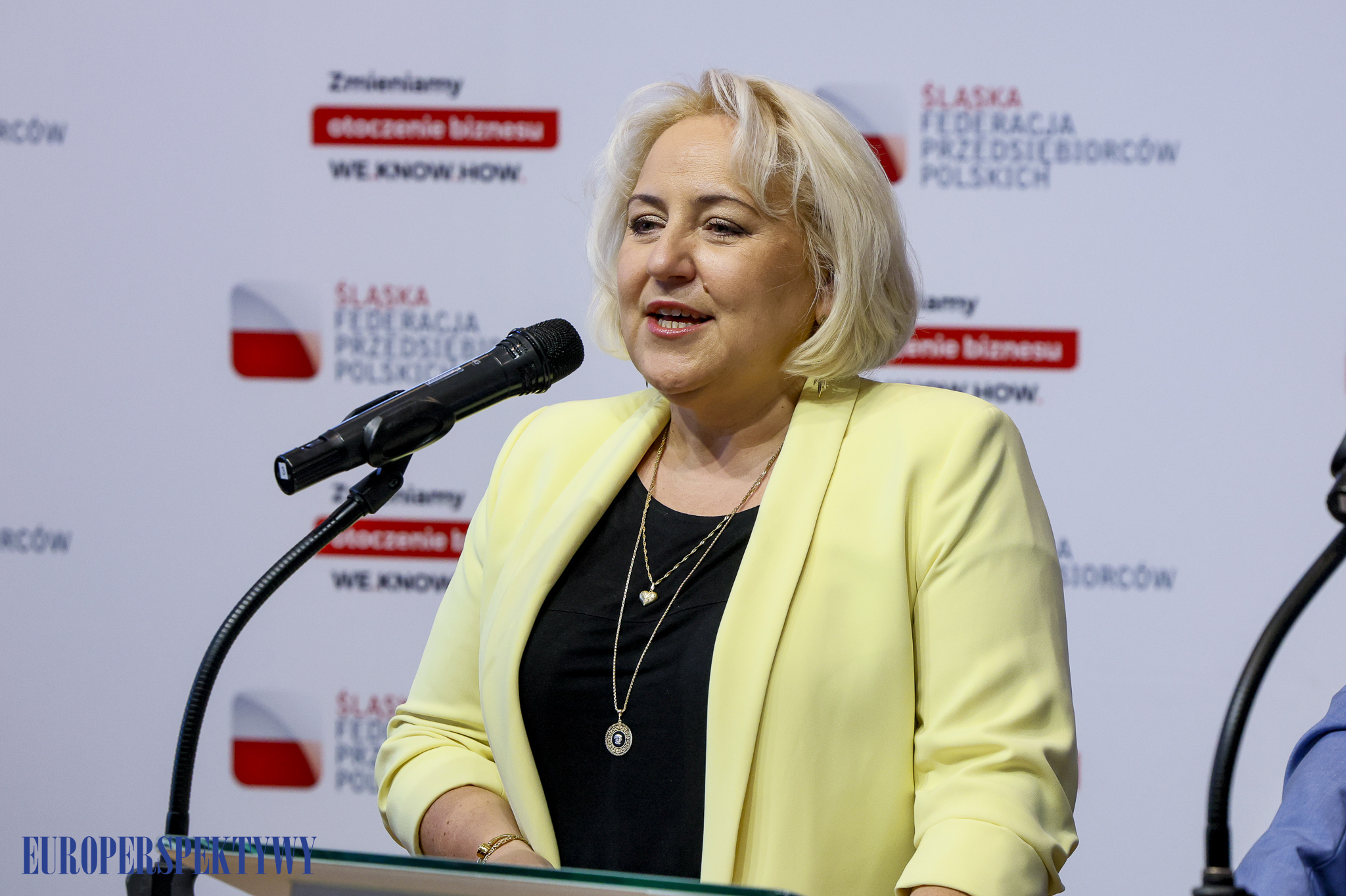 EUROPERSPEKTYWY-68 Europerspektywy Debata ŚFPP: „Metropolia 2.0 – Quo Vadis?”