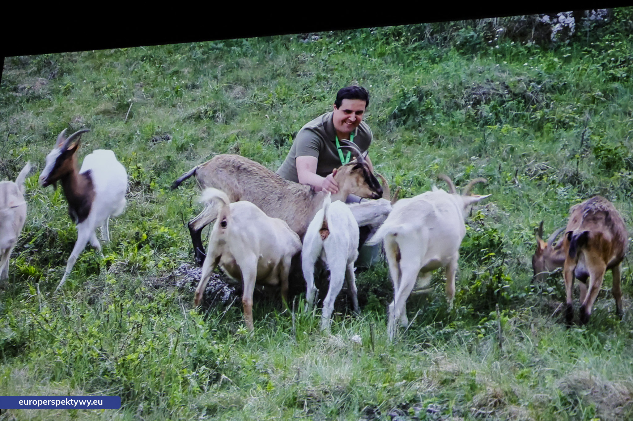 Europerspektywy (157 z 178) Europerspektywy Zielone Czeki 2025 - WFOŚiGW nagrodził liderów ekologii w województwie śląskim