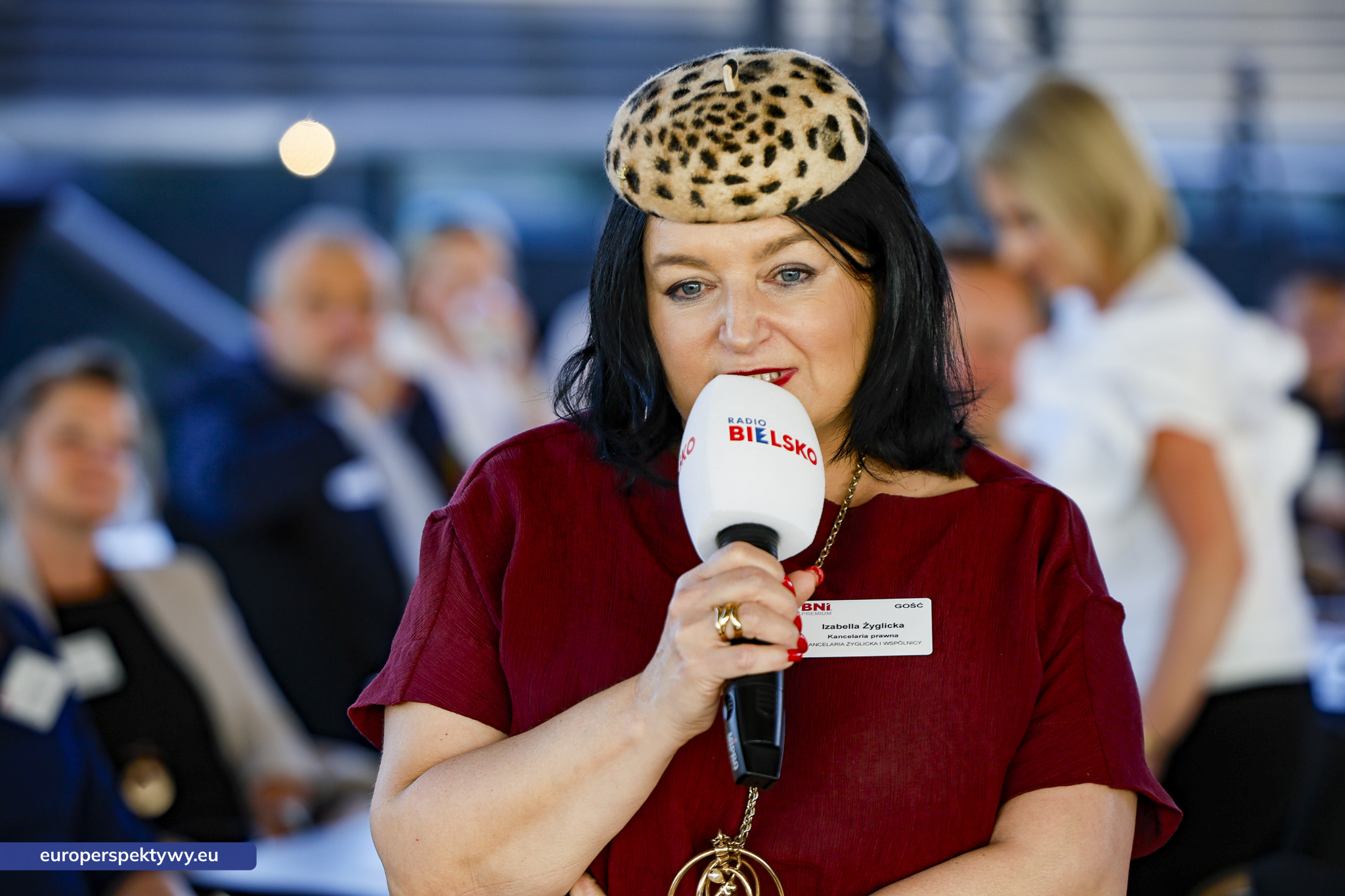 Europerspektywy (111 z 228)