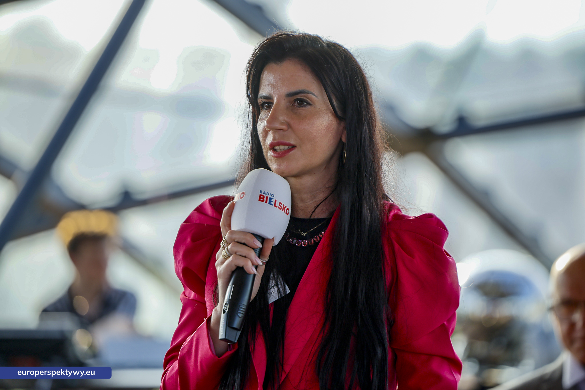 Europerspektywy (138 z 228)