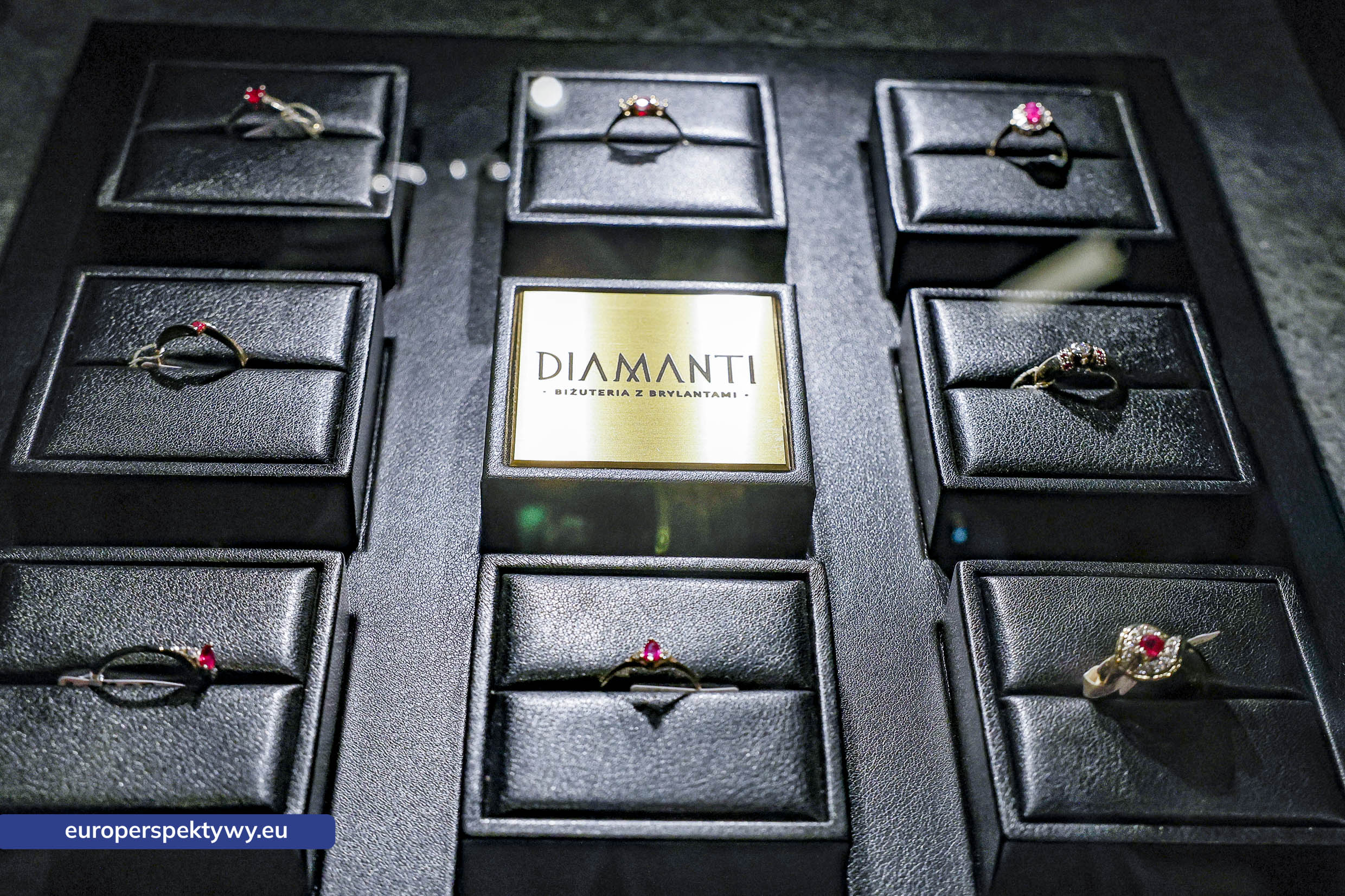 Europerspektywy-1025 Europerspektywy Networking i sztuka – wieczór relacji, estetyki i smaku z Catering Arts i Diamanti