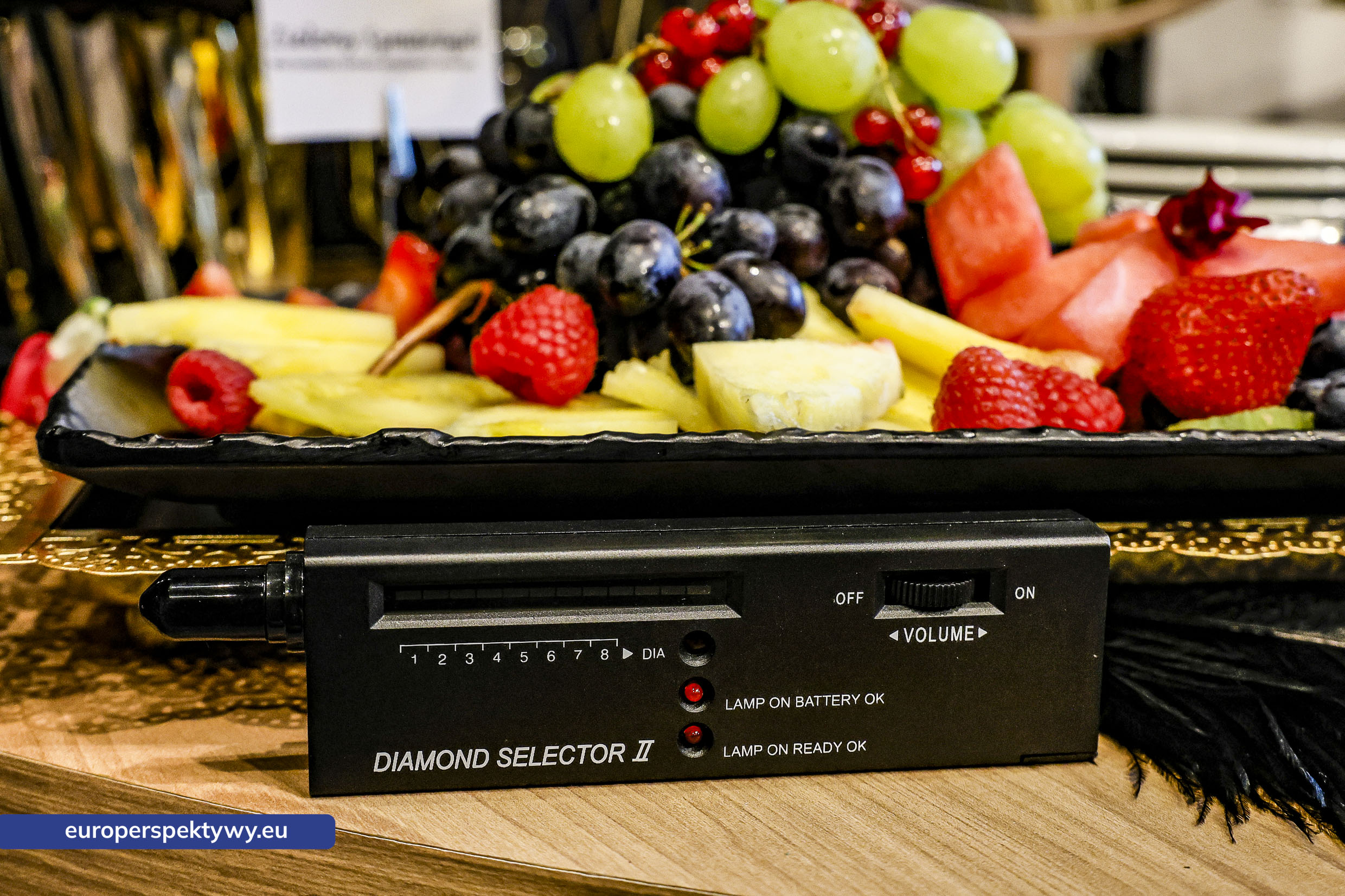 Europerspektywy-1034 Europerspektywy Networking i sztuka – wieczór relacji, estetyki i smaku z Catering Arts i Diamanti