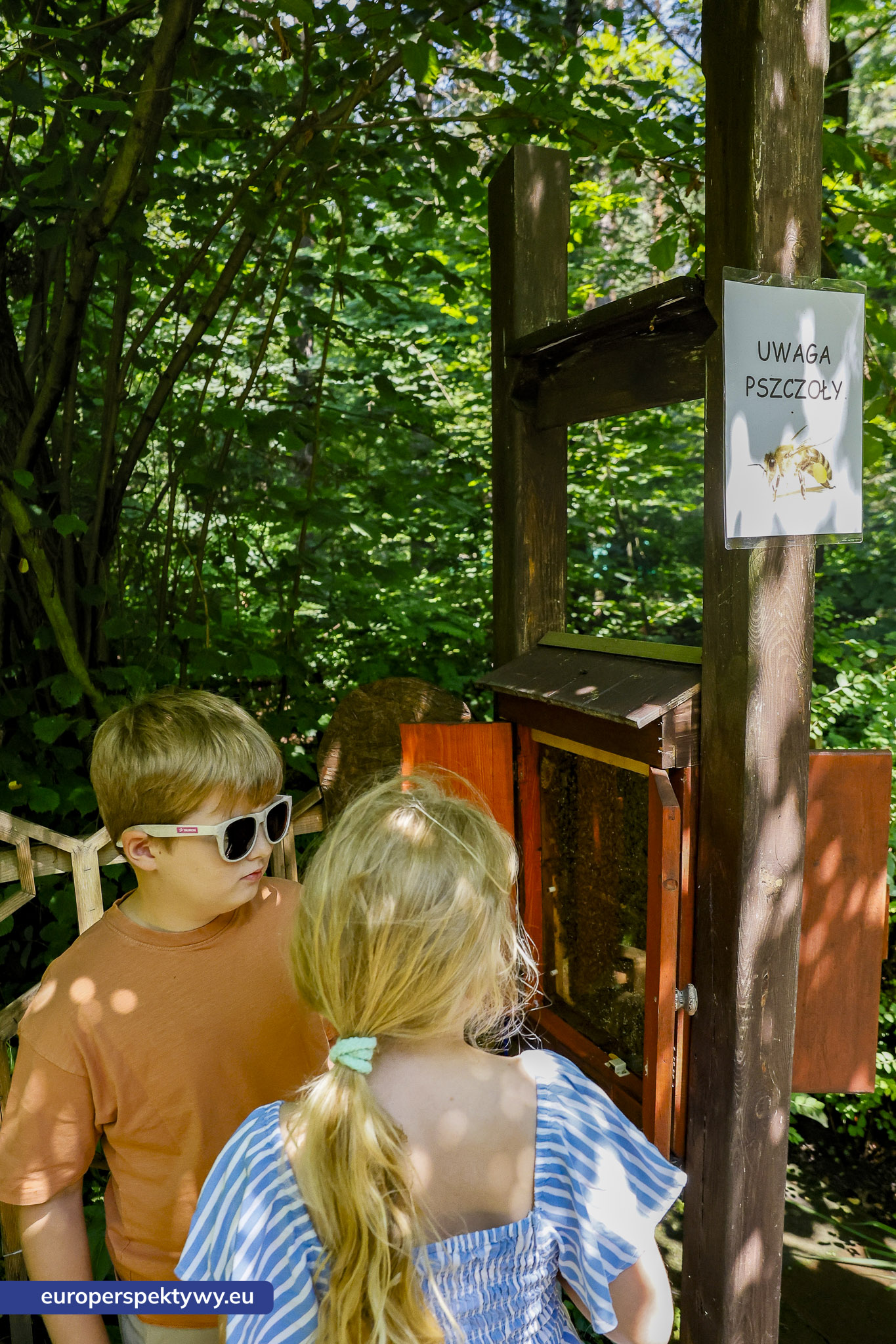 Europerspektywy-1103