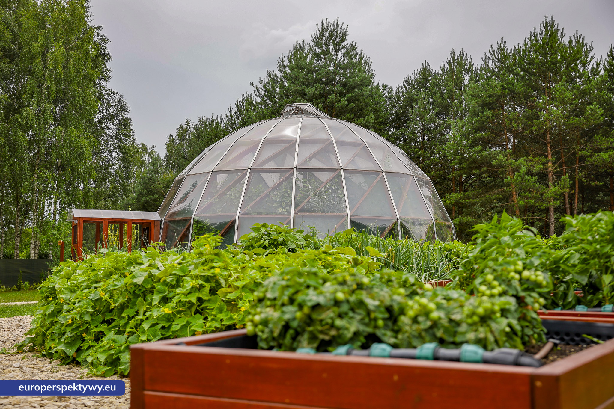 Europerspektywy-1151 Europerspektywy Park Korzonek: ekologiczna strefa kąpieli już wkrótce dostępna dla odwiedzających