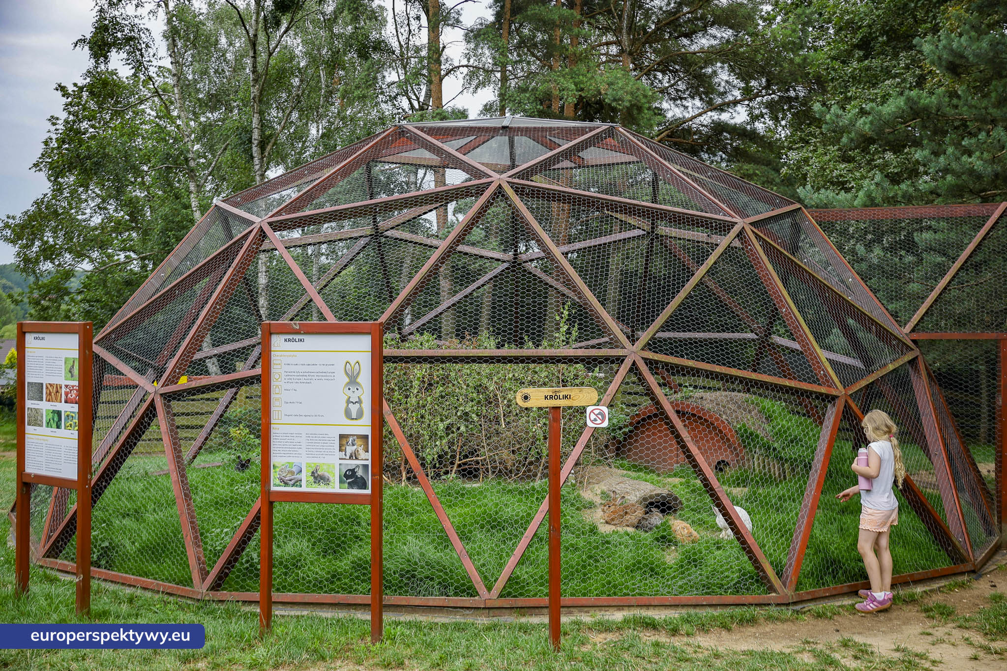 Europerspektywy-1245 Europerspektywy Park Korzonek: ekologiczna strefa kąpieli już wkrótce dostępna dla odwiedzających