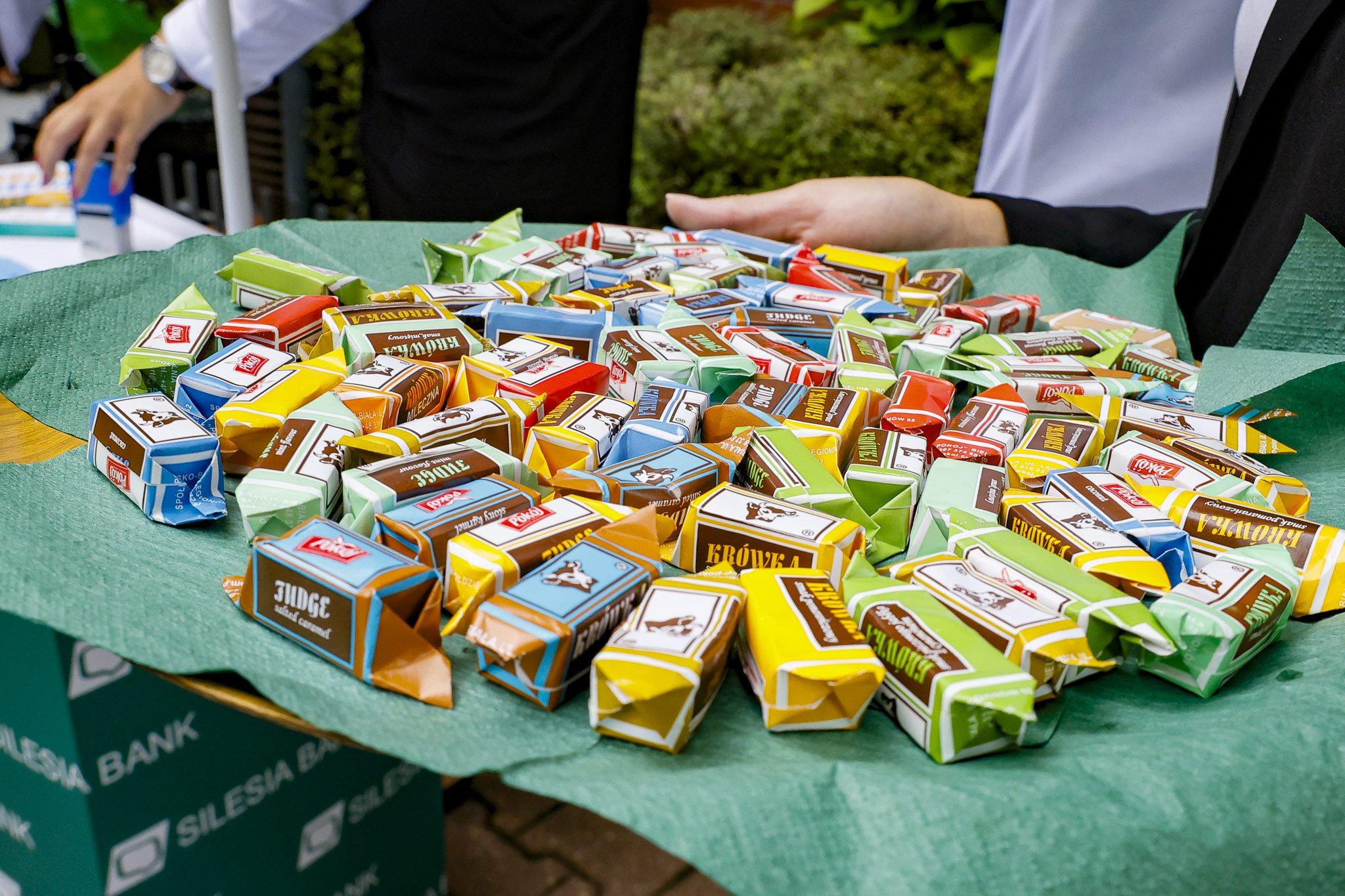 Bank Spółdzielczy Bebok - Europerspektywy-22 Europerspektywy Śląski Bank Spółdzielczy "Silesia" - odsłonięcie beboka Geldusia