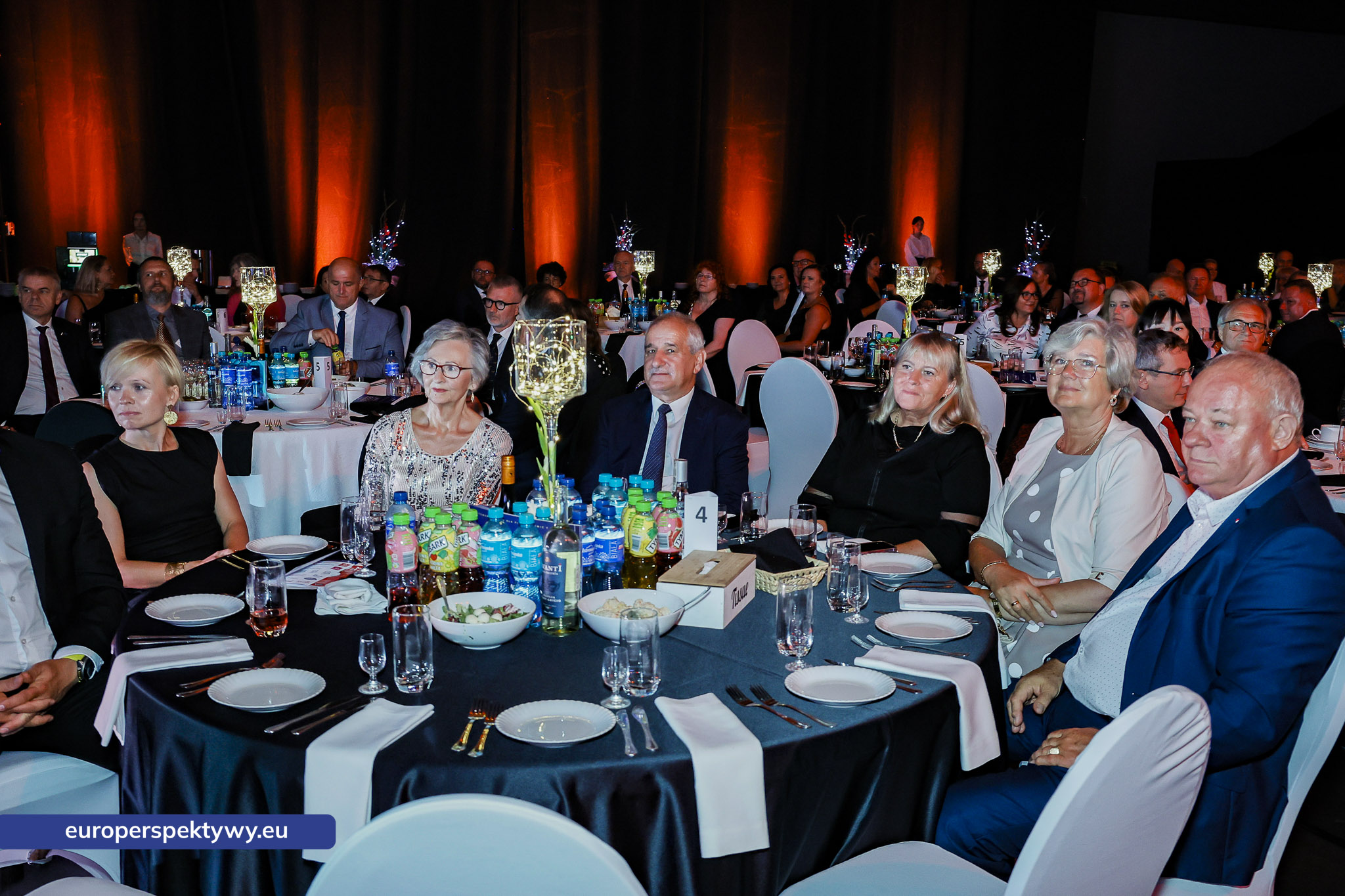 Marka Śląskie 2025 Europerspektywy.eu Europerspektywy 31. Wielka Gala RIPH w Gliwicach – wręczenie nagród w konkursie „Marka Śląskie”