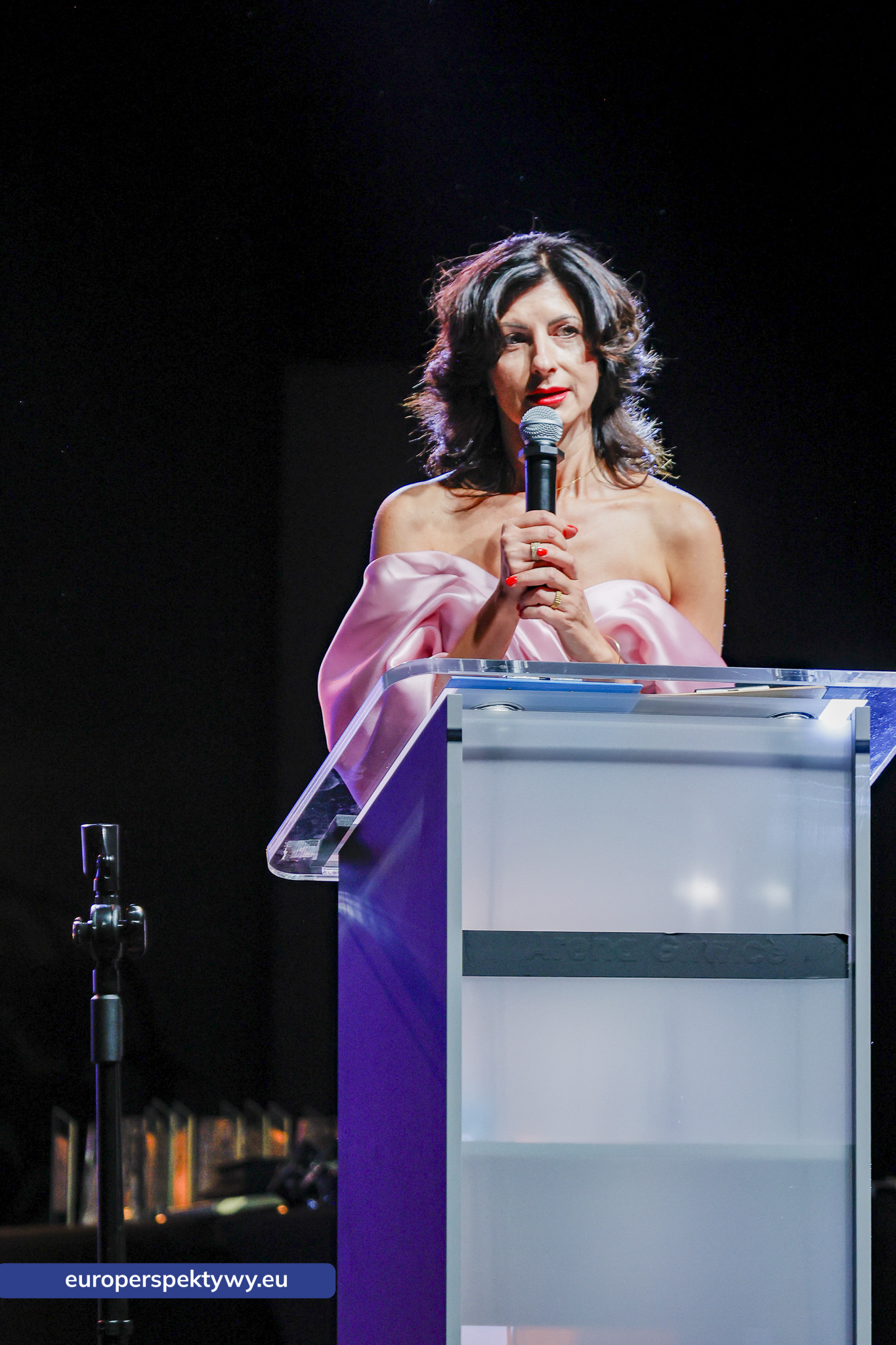 Marka Śląskie 2025 Europerspektywy.eu Europerspektywy 31. Wielka Gala RIPH w Gliwicach – wręczenie nagród w konkursie „Marka Śląskie”